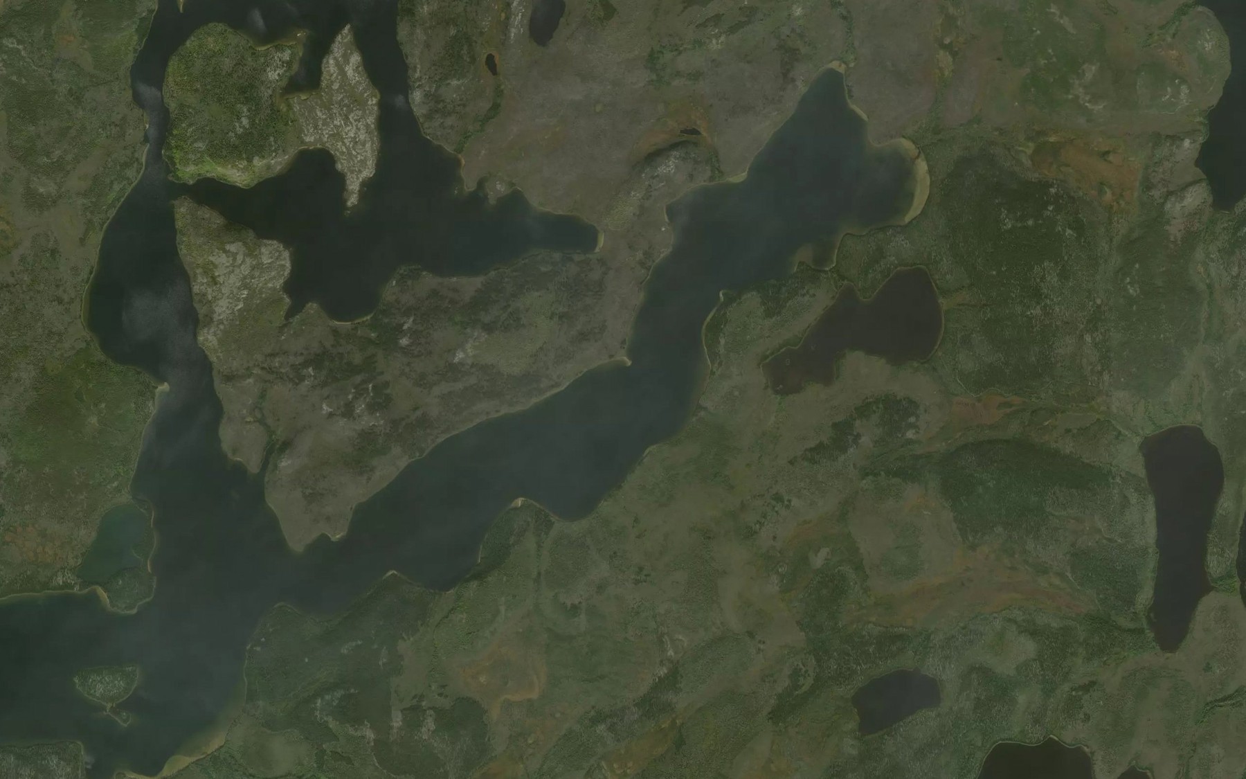Satellite map of the Livingstone Bay