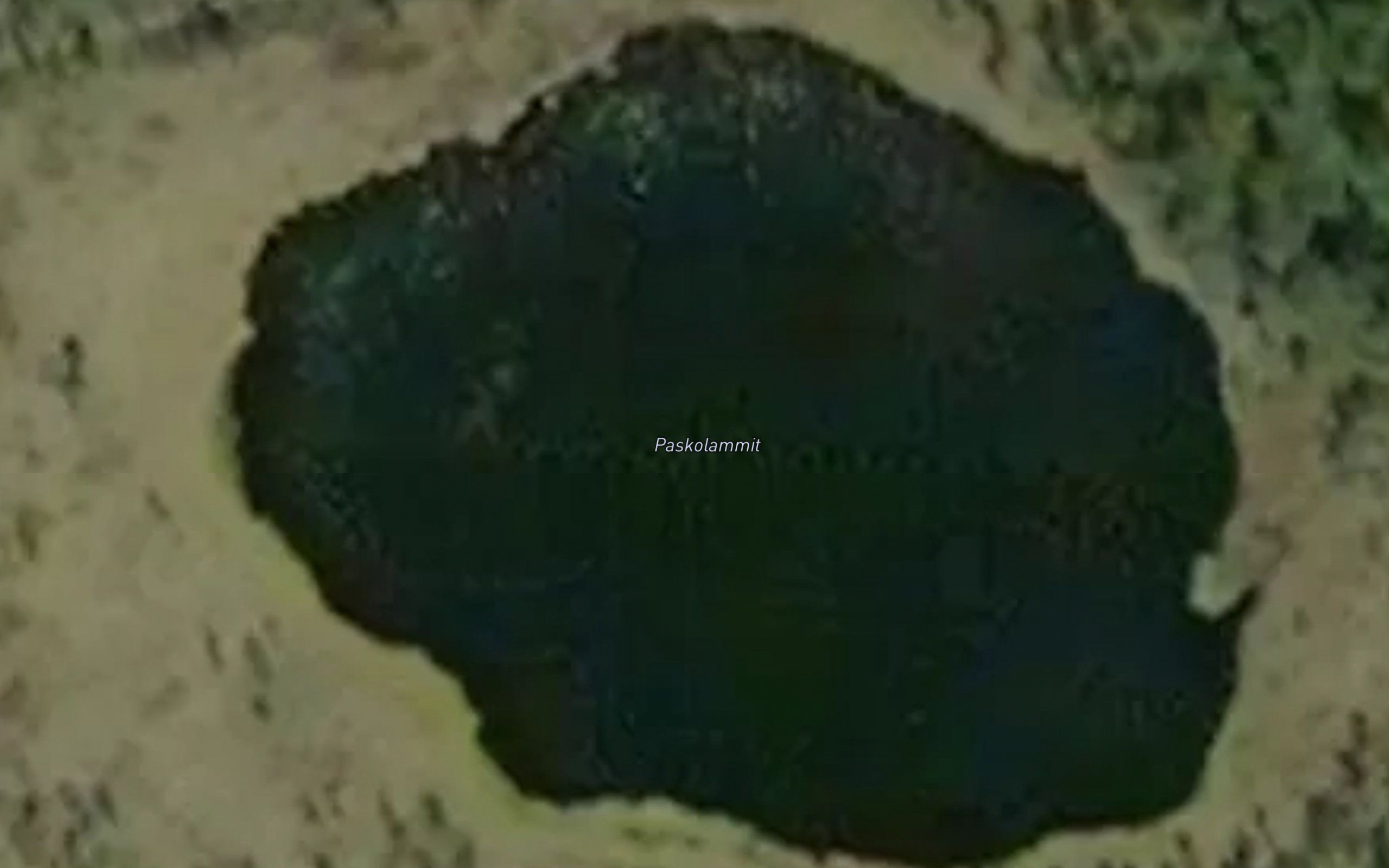 Paskolammit
