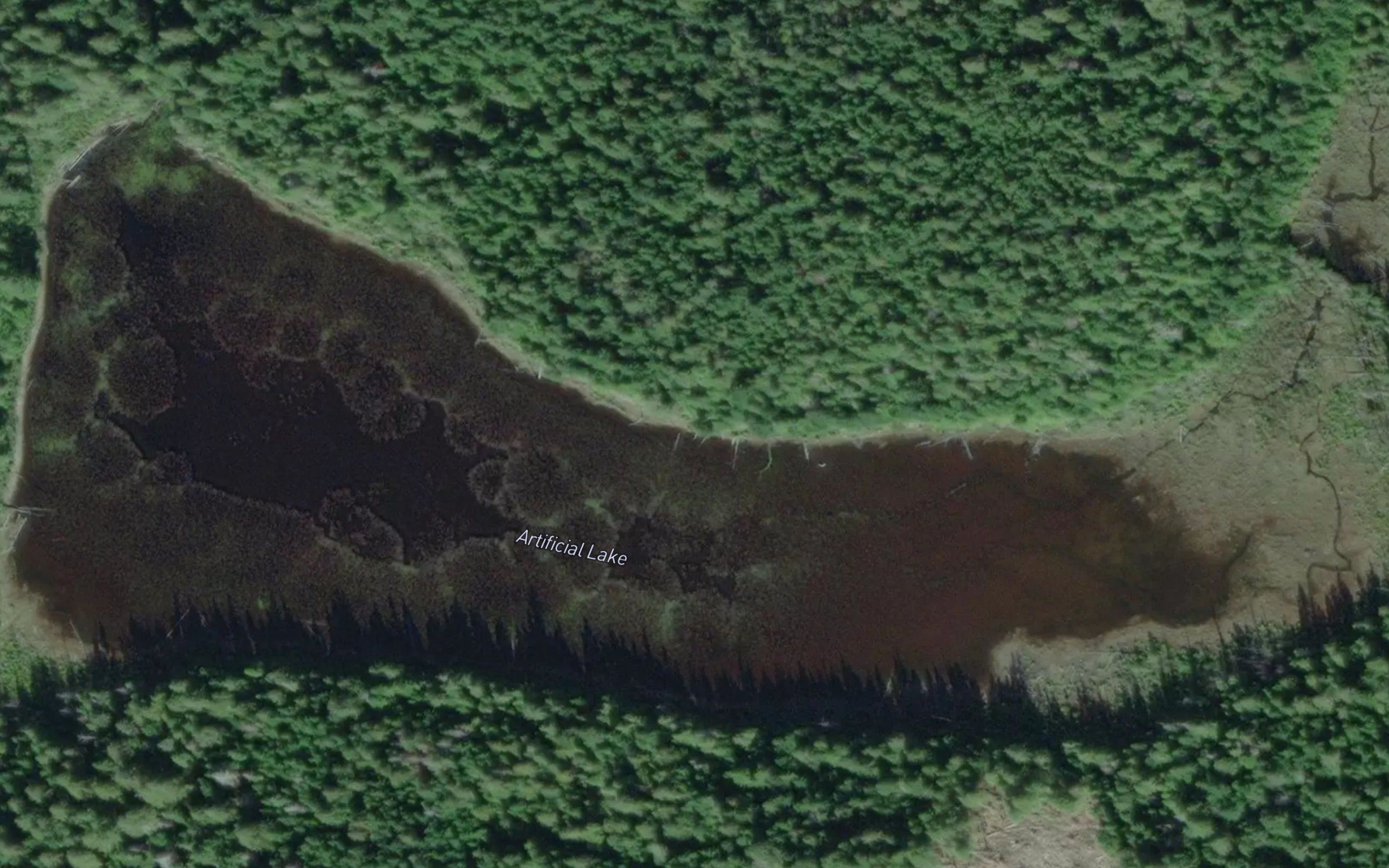 Artificial Lake
