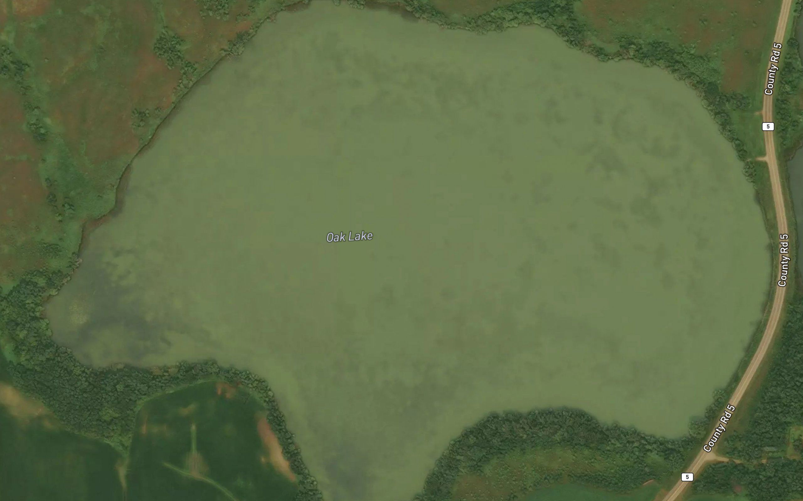 Oak Lake