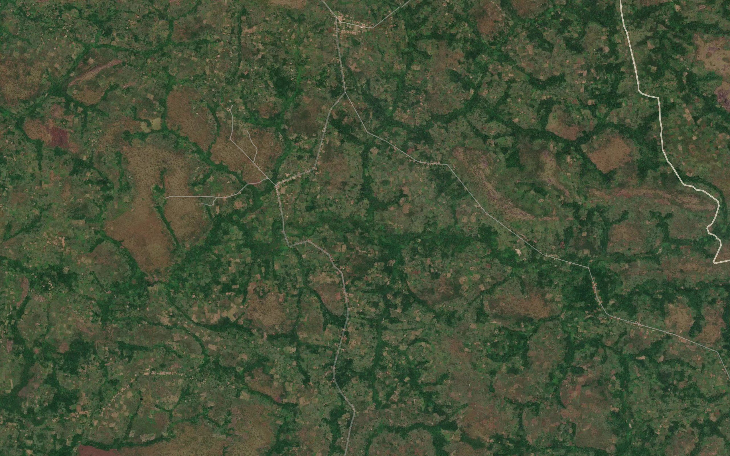 Liafa