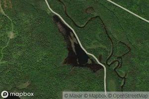 Big Bartley Pond