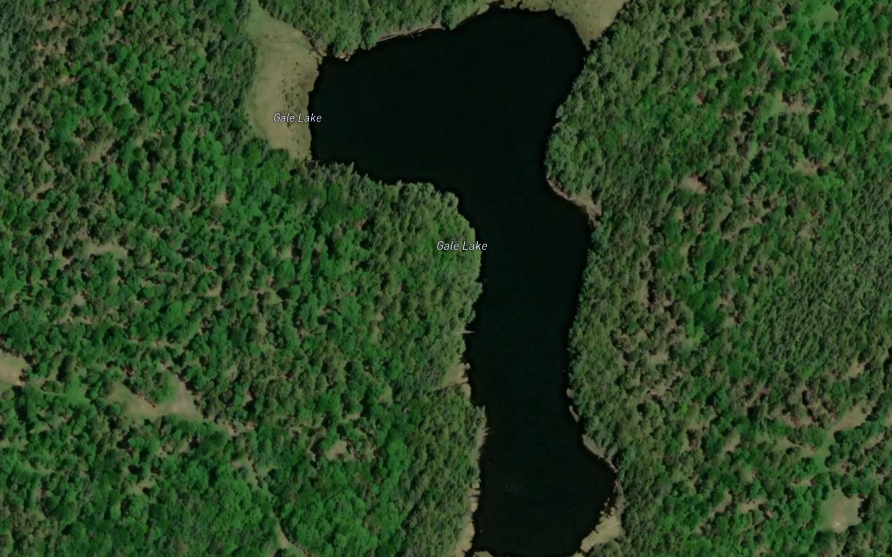 Satellite map of the Gale Lake