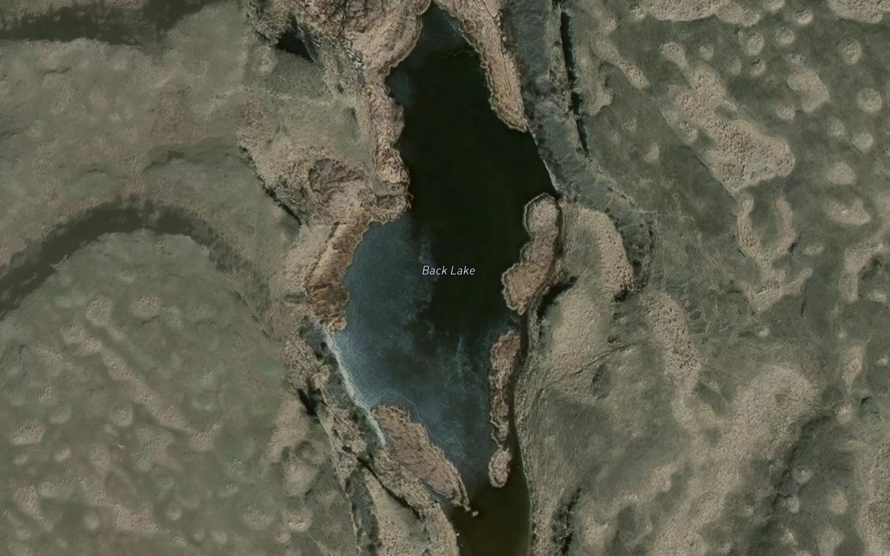 Satellite map of the Back Lake