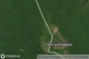 Sinnakoramoddai Kulam