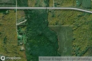 Bohemian Creek