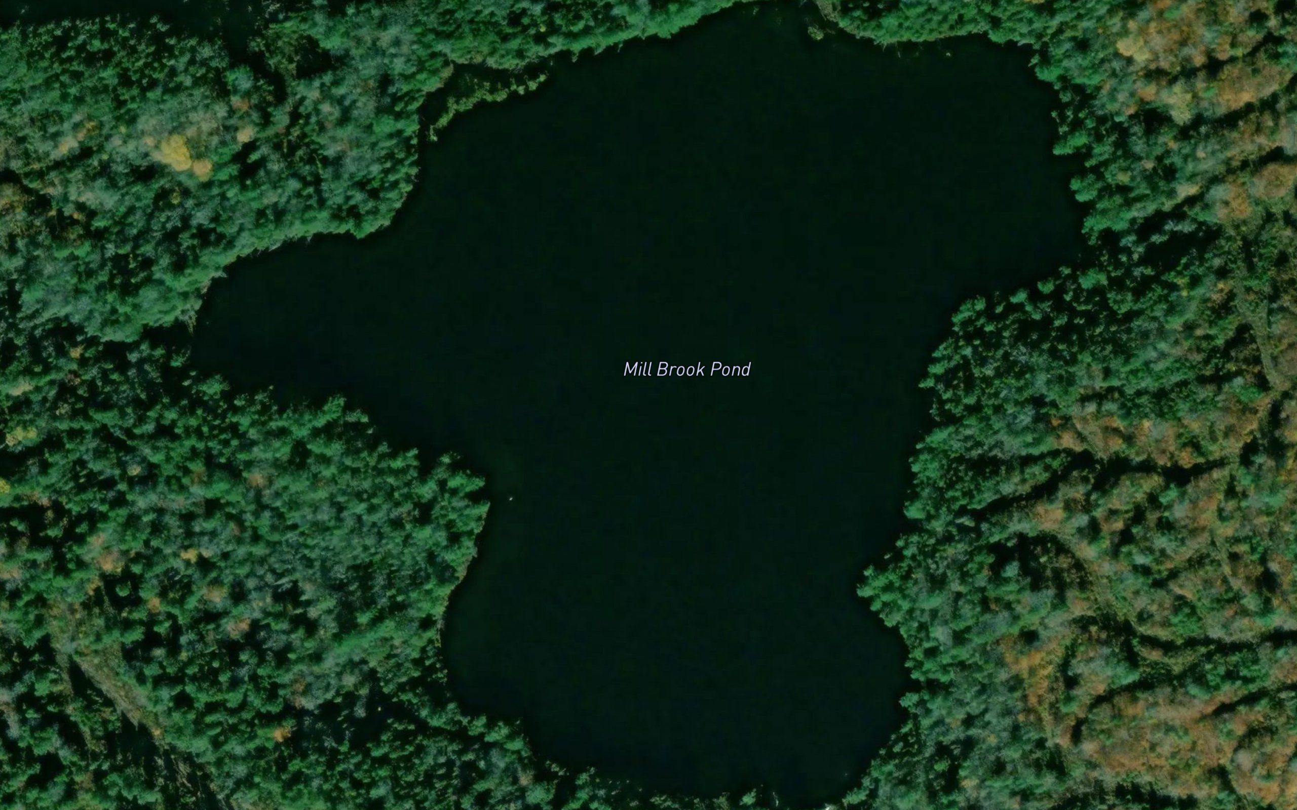 Mill Brook Pond