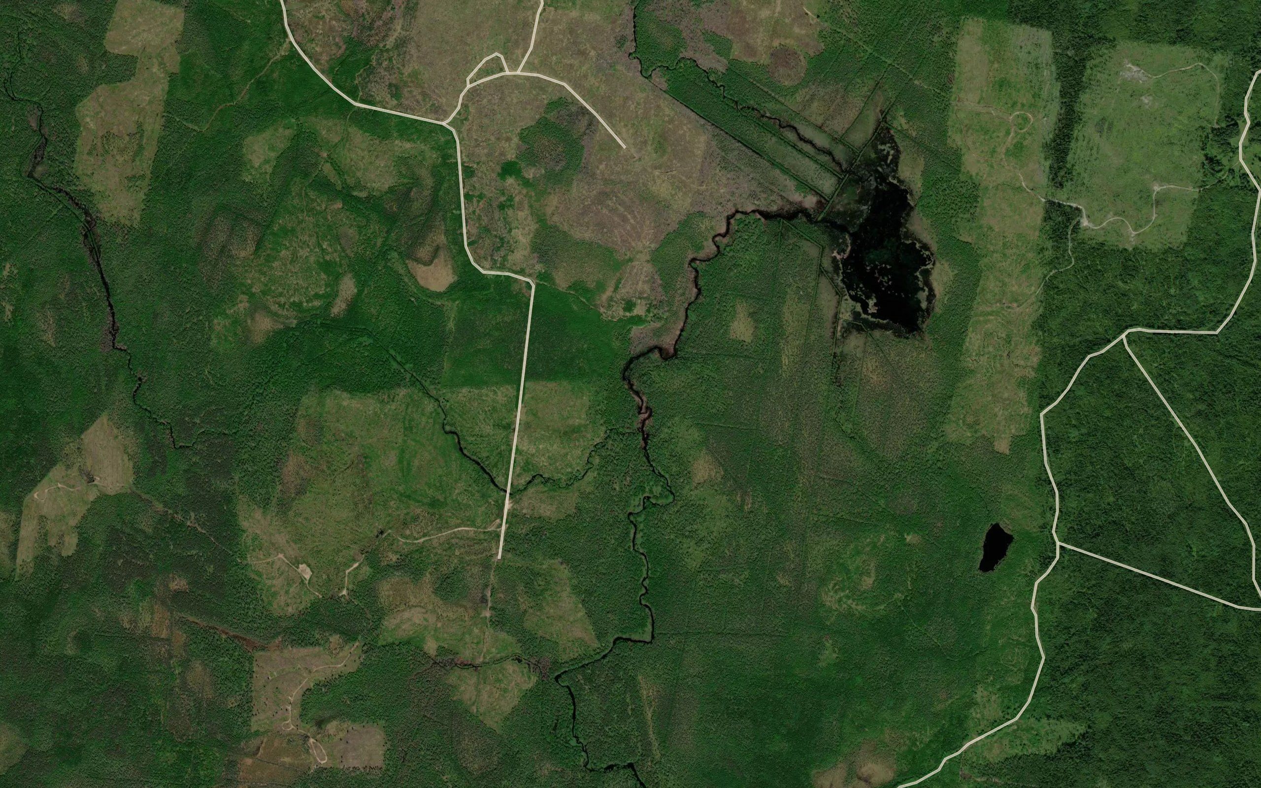 Burov-Ruchey