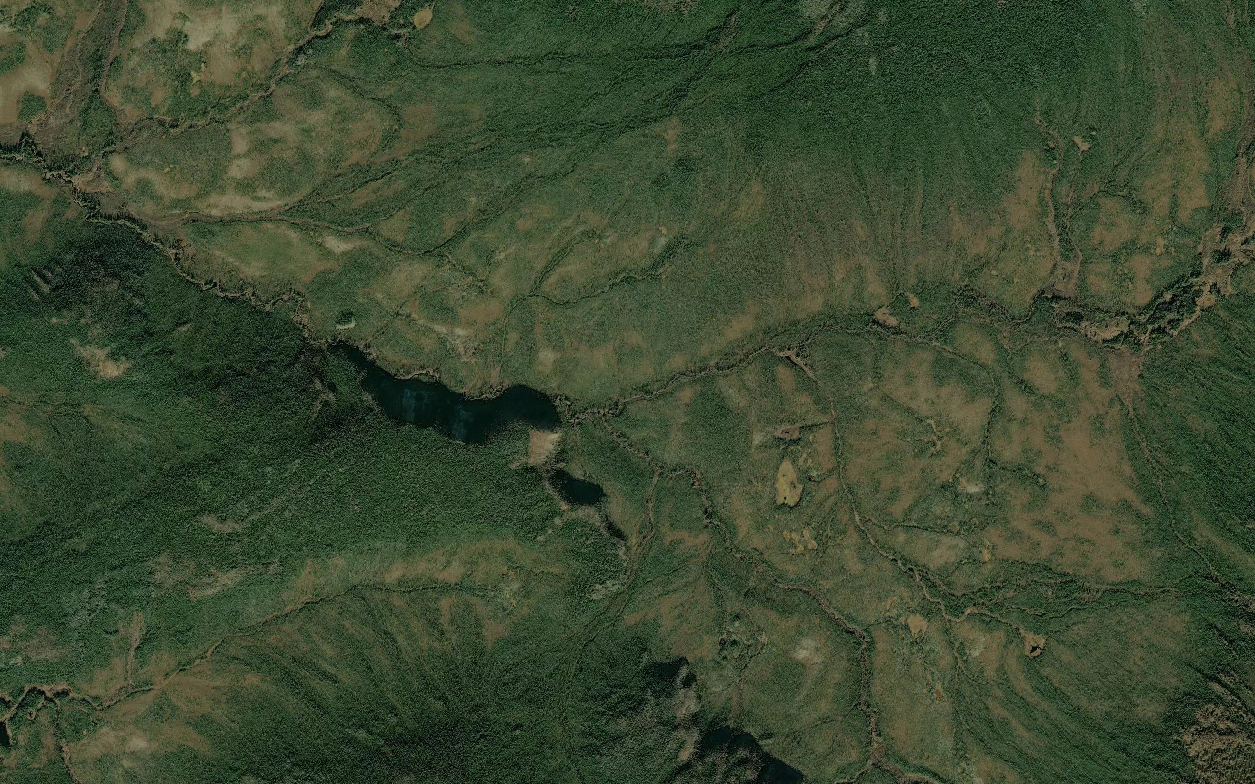 Little Bonanza Creek