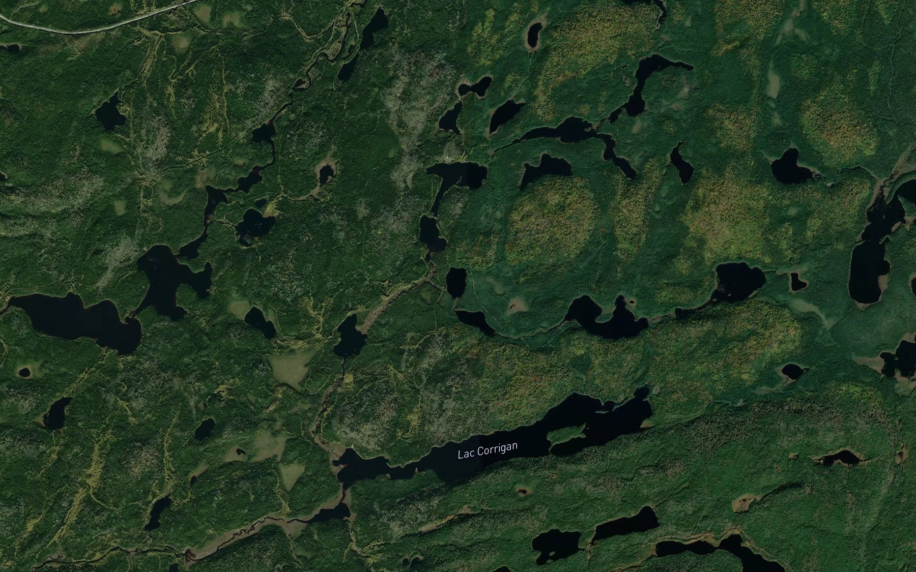 Satellite map of the Petit lac de l'Eponge