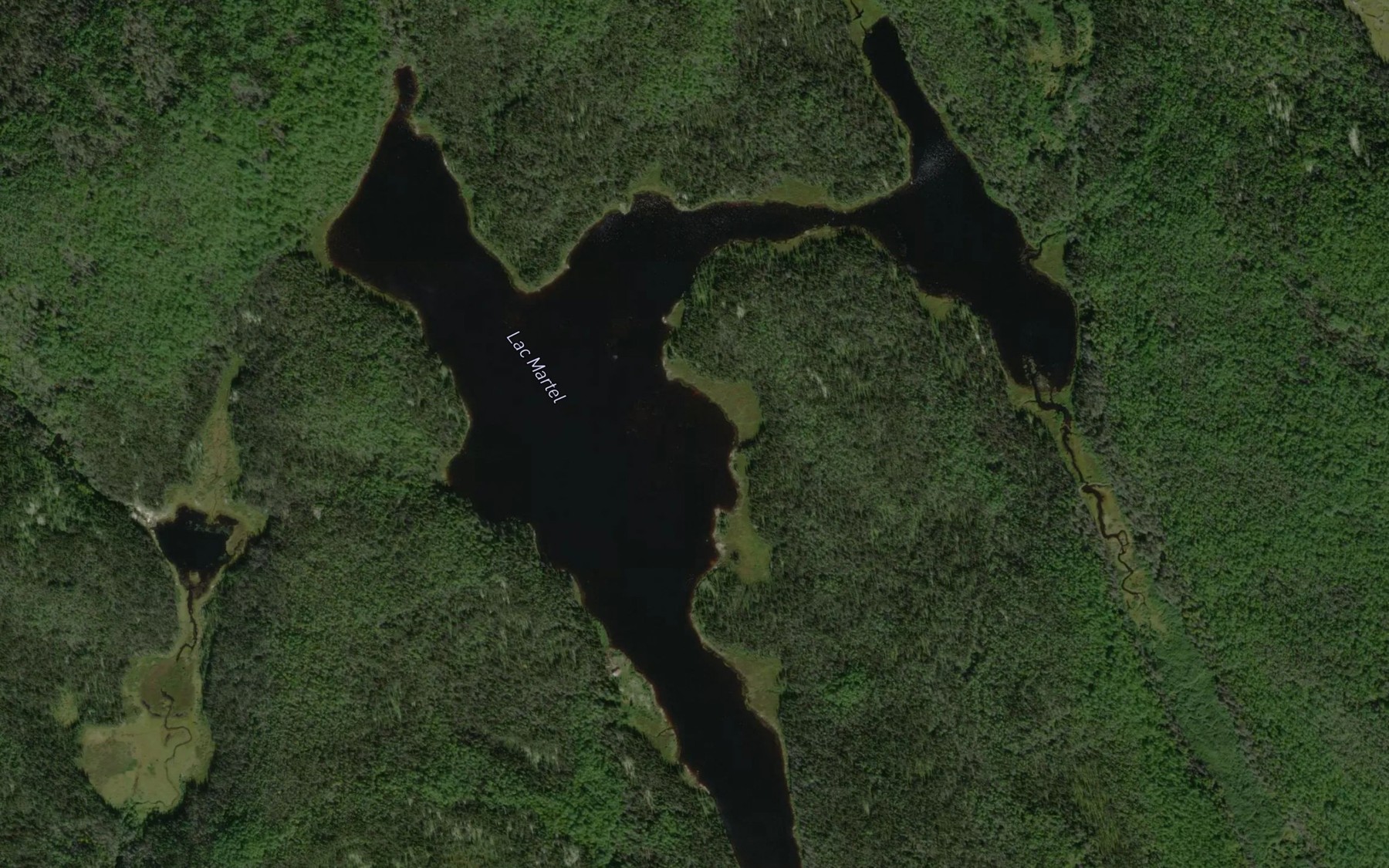 Satellite map of the Lac Martel