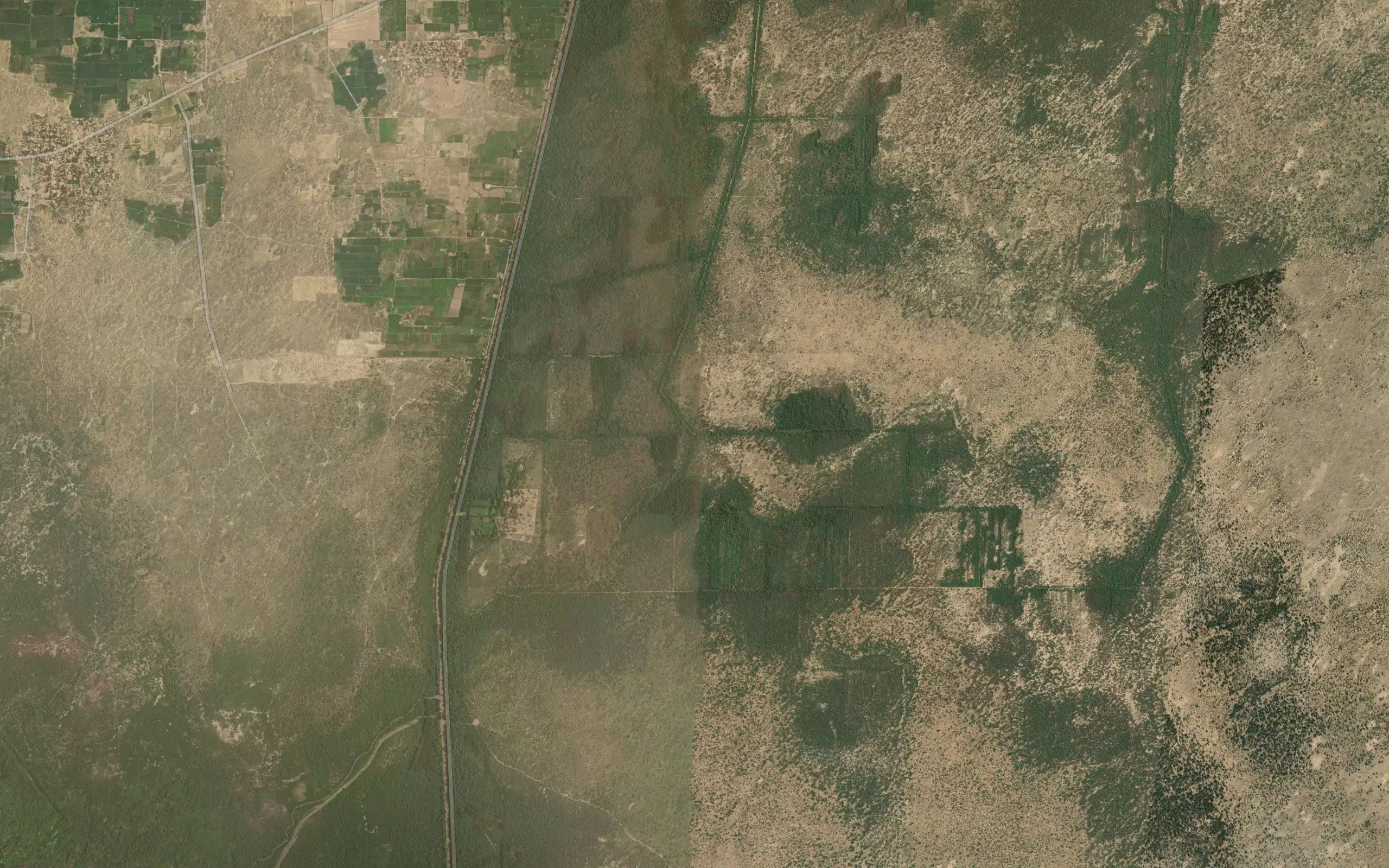 Forest Distributary