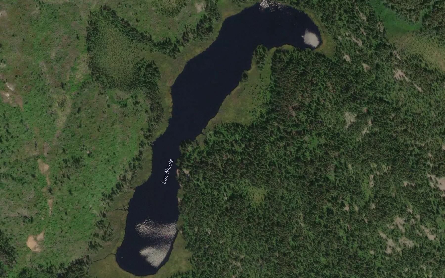 Satellite map of the Lac Nicole