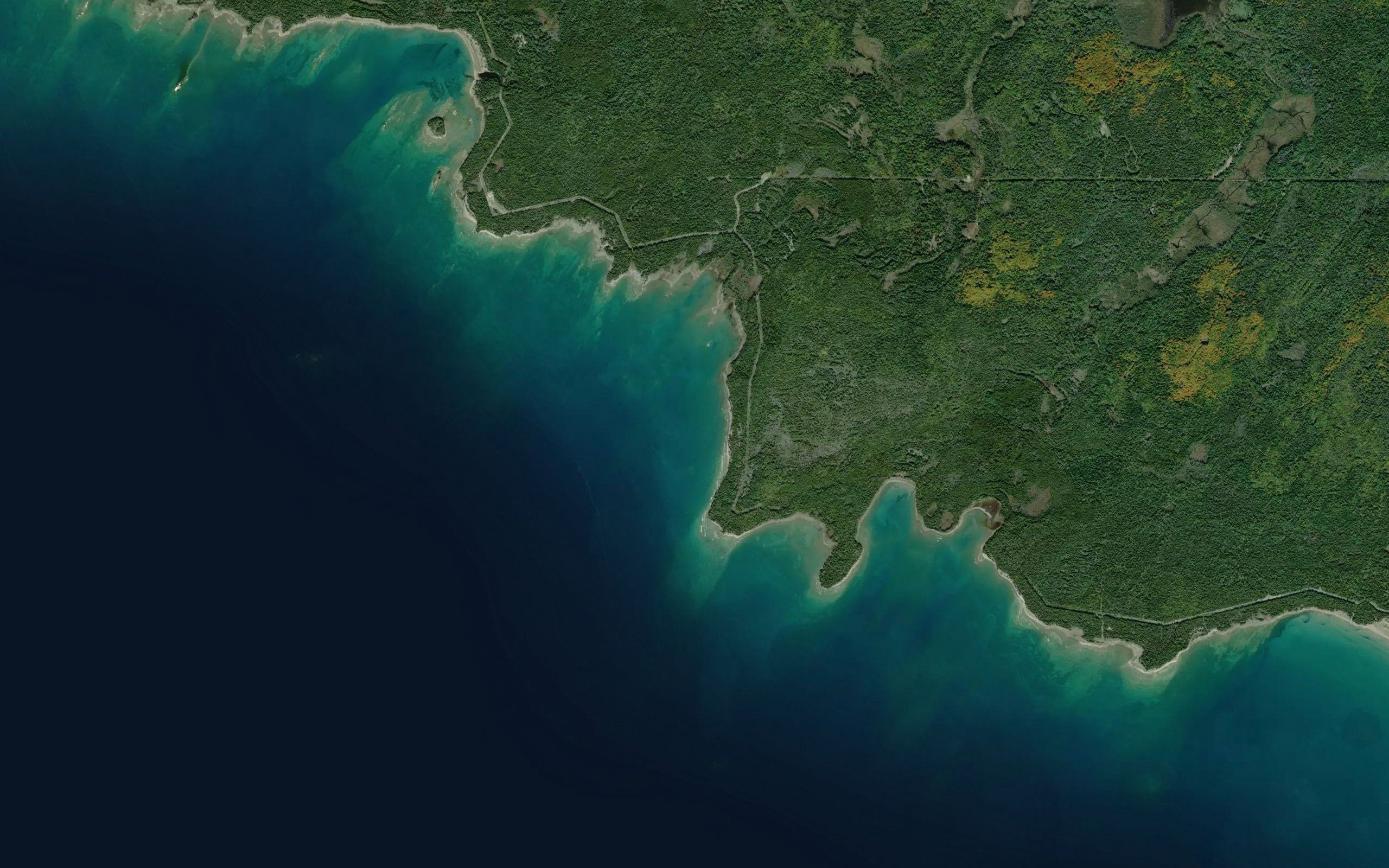 Jenkins Bay