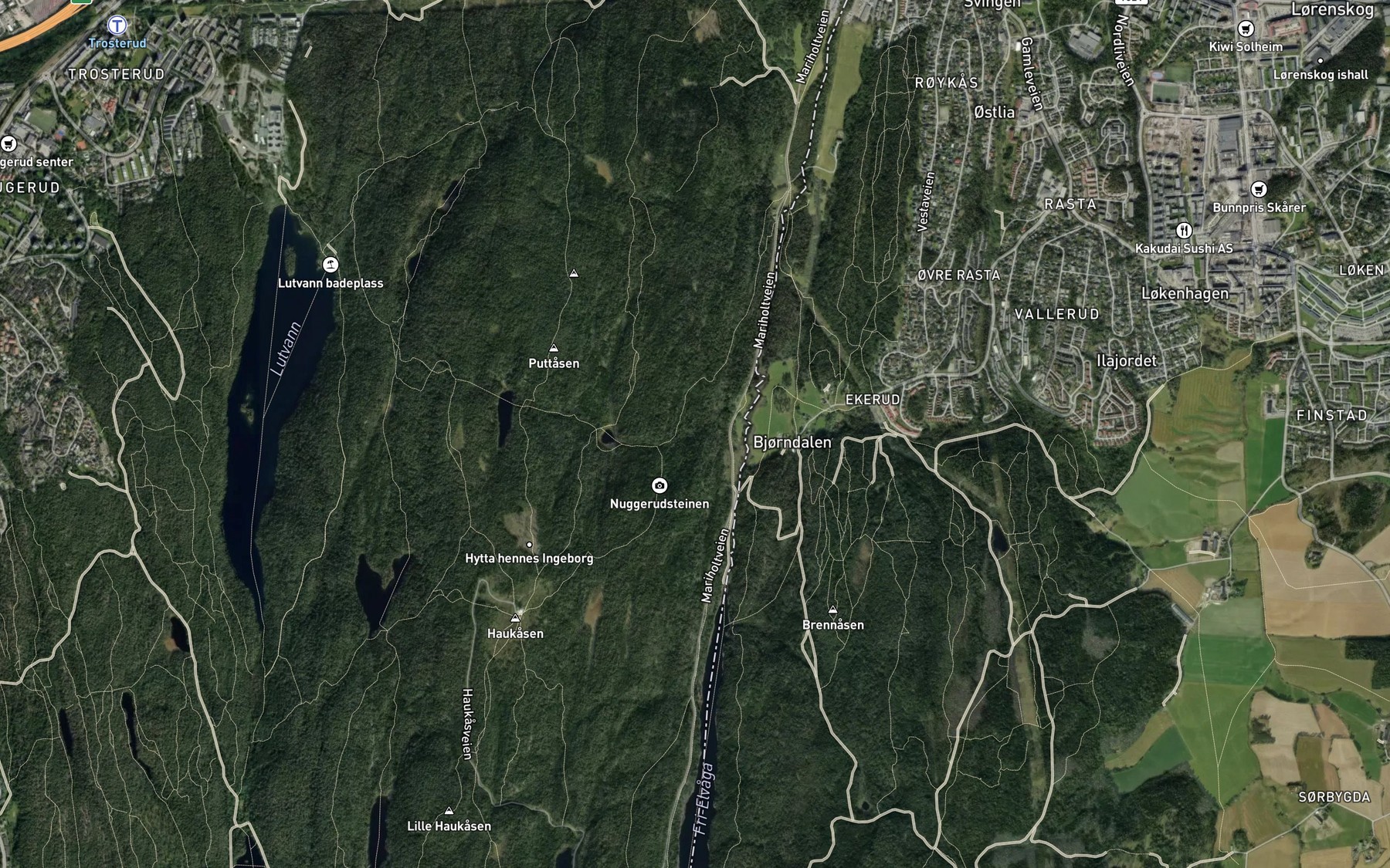 Satellite map of the Dannafossen