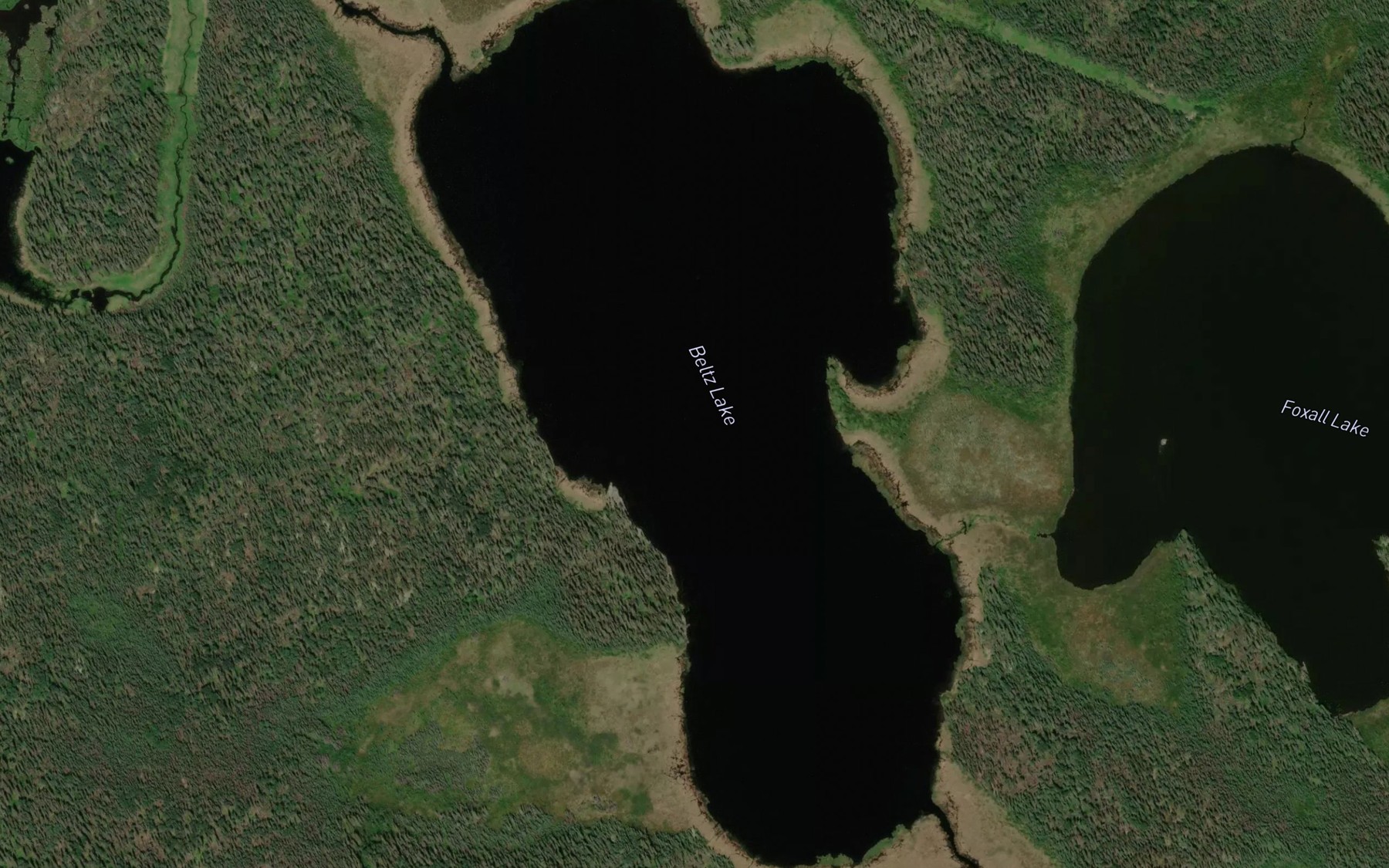 Satellite map of the Beltz Lake