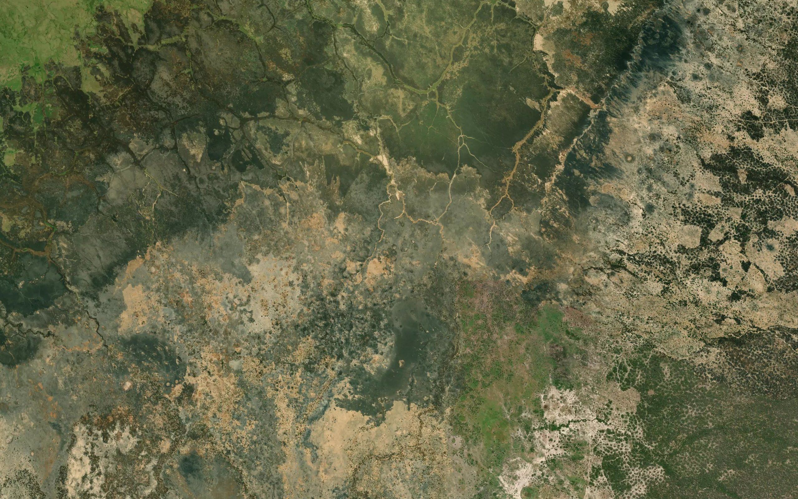 Mlungu