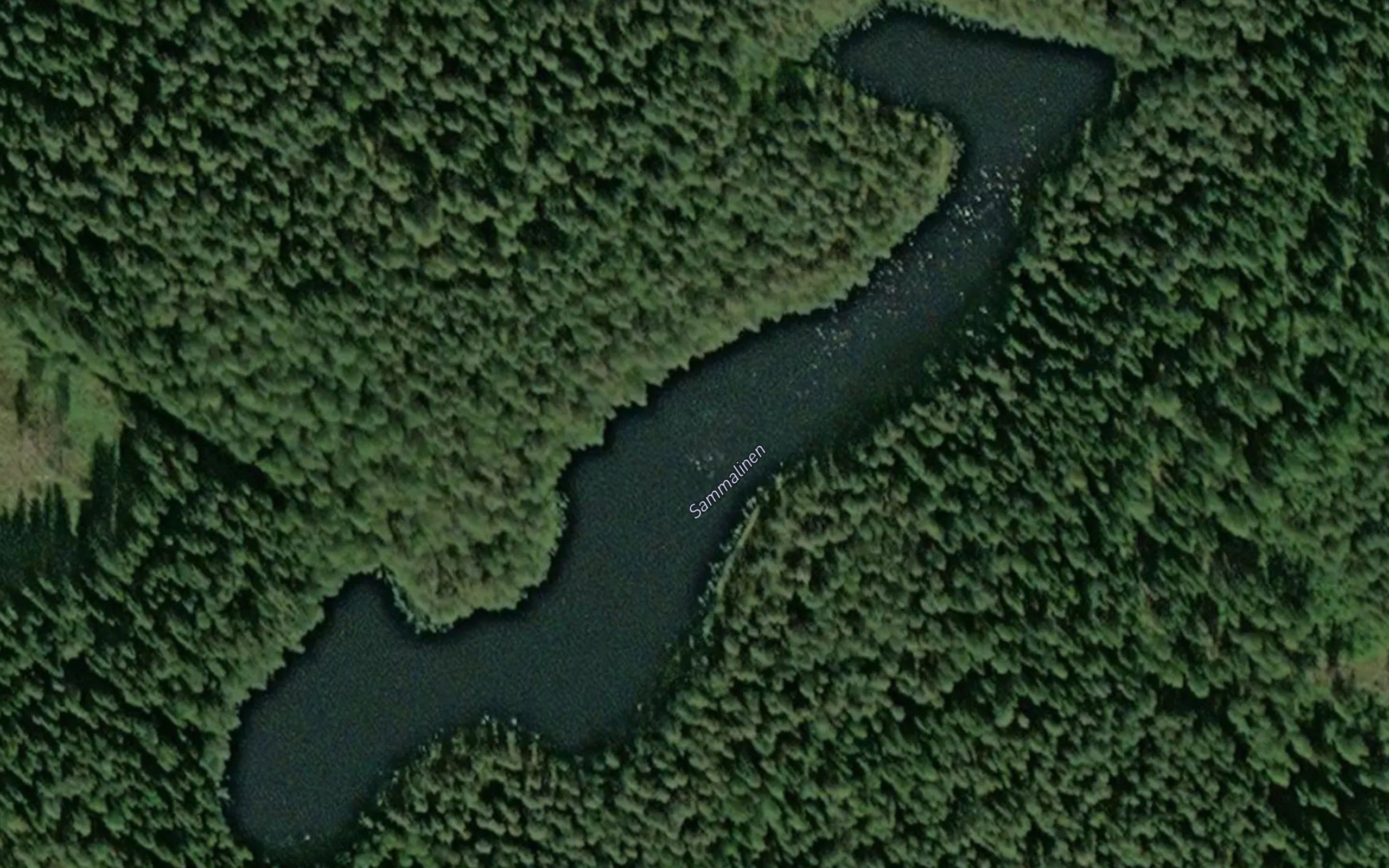 Sammalinen