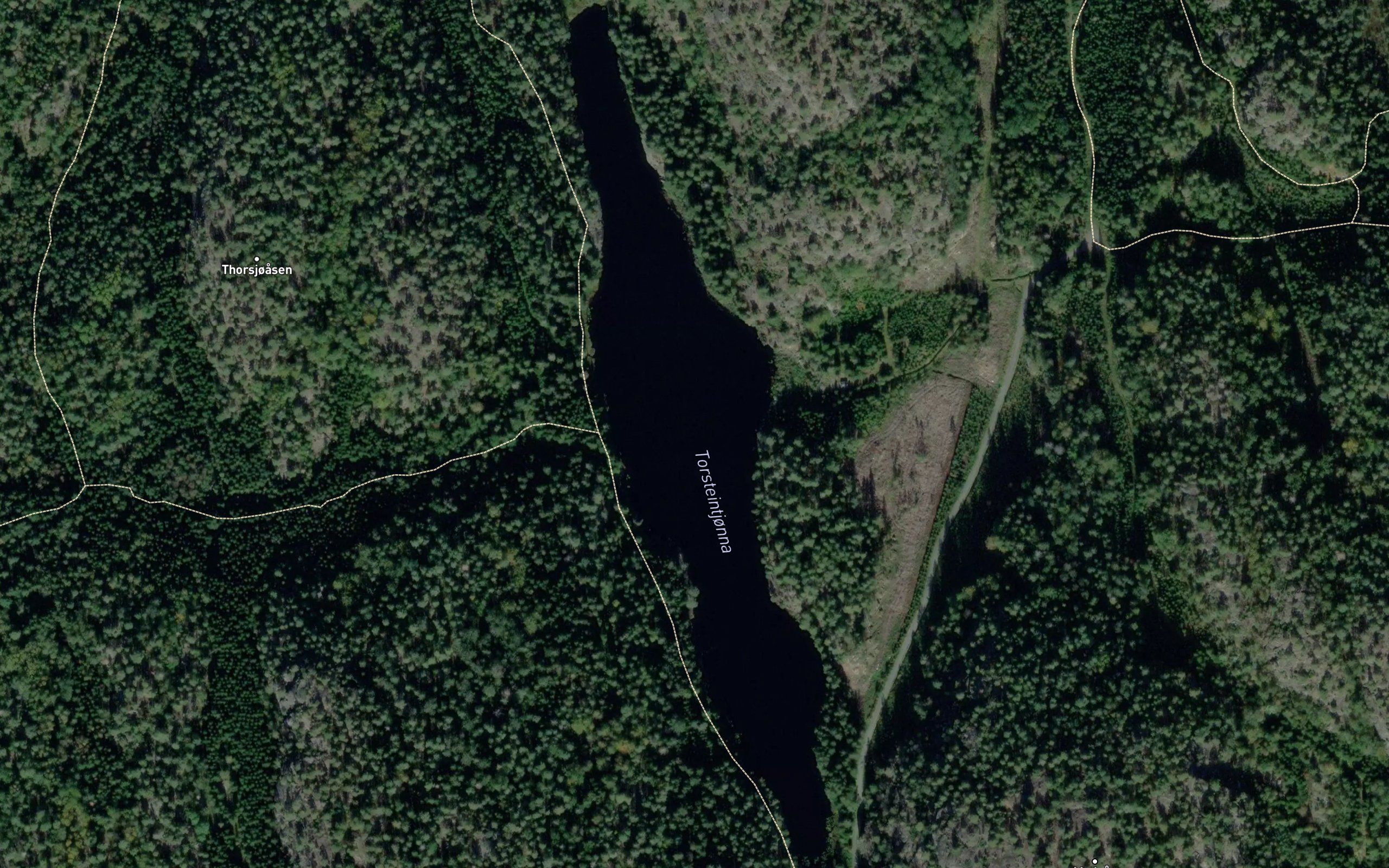 Torsteintjorna