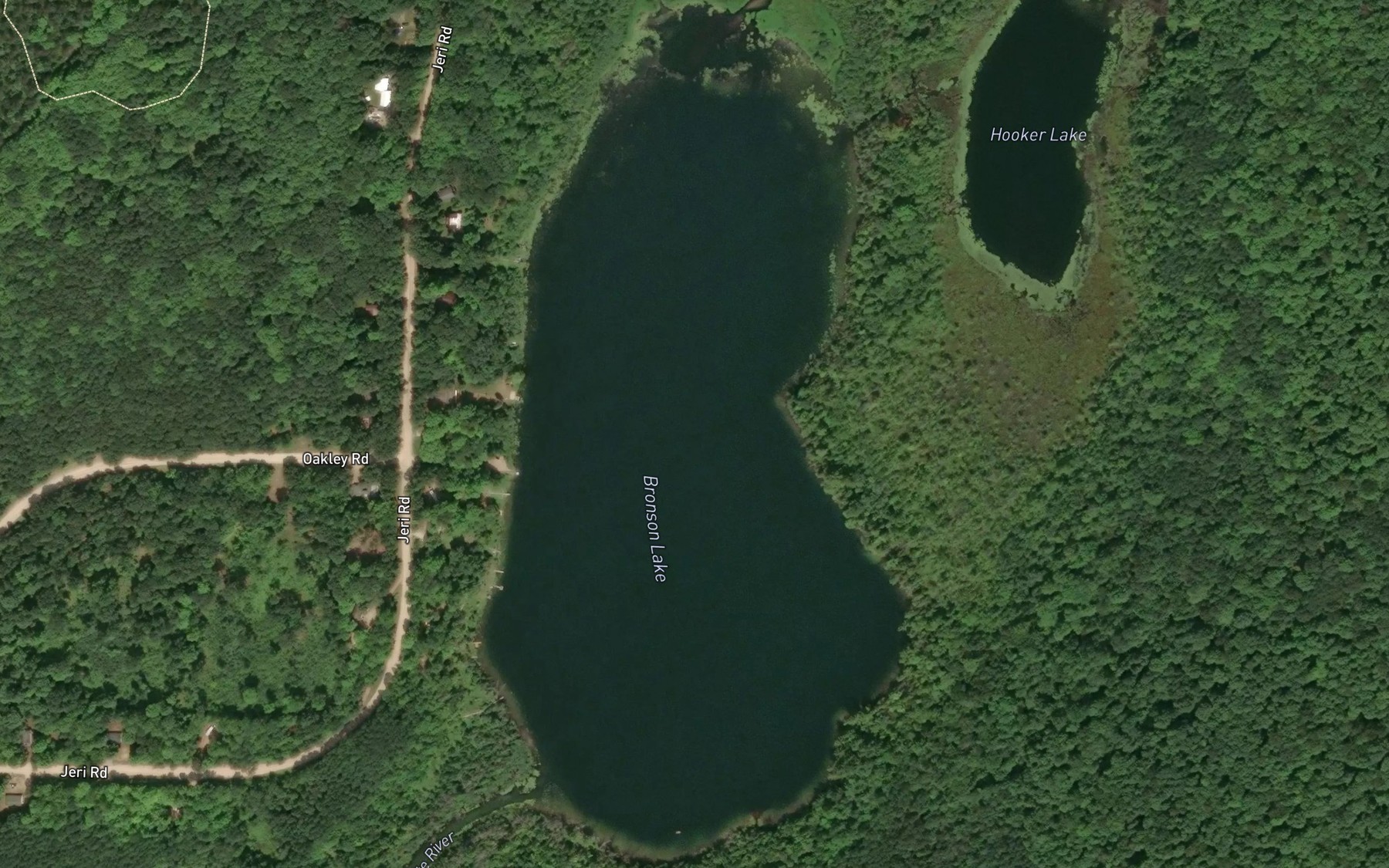 Satellite map of the Bronson Lake