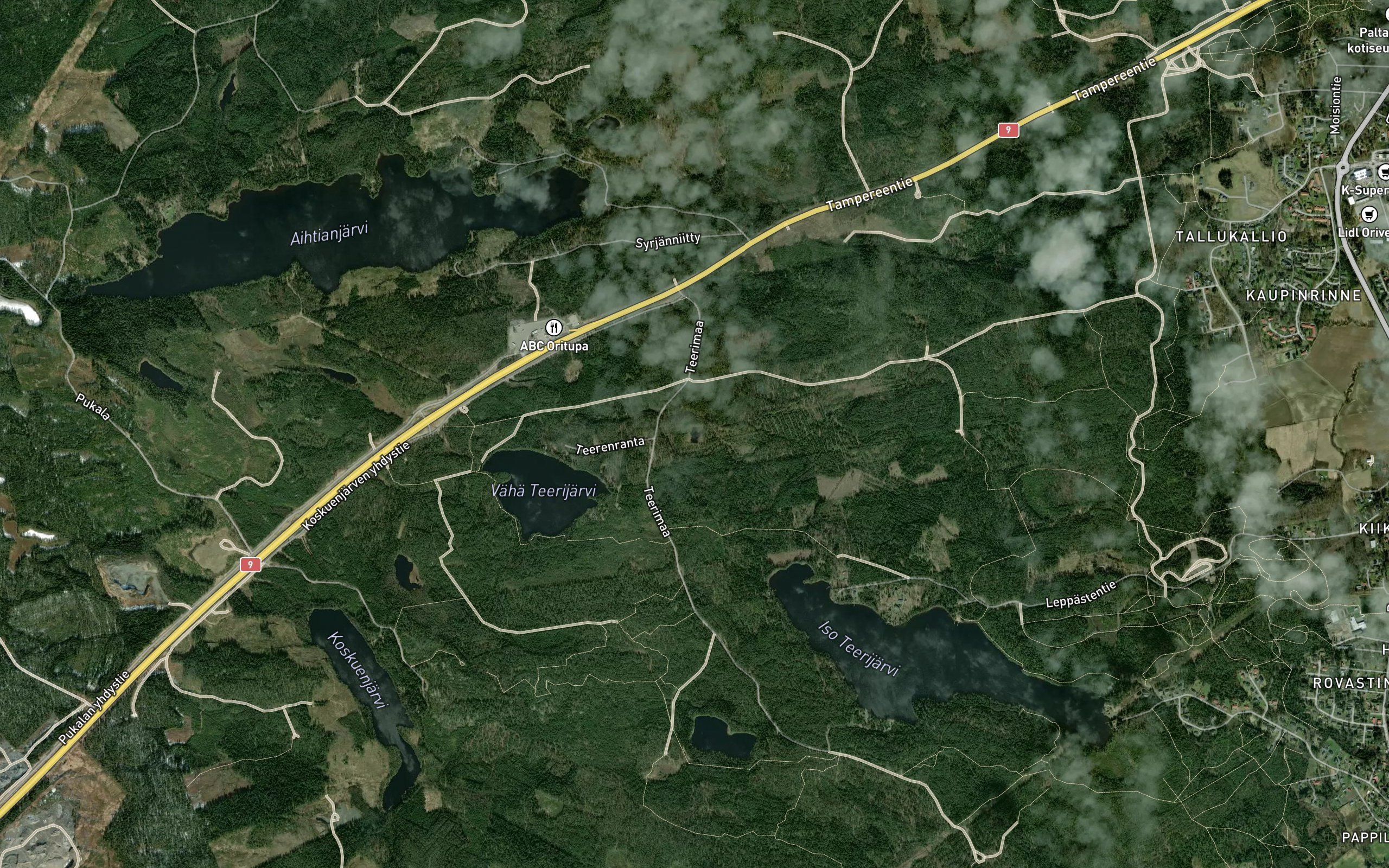 Linnunlammi