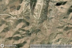 Bell Number Two Spring