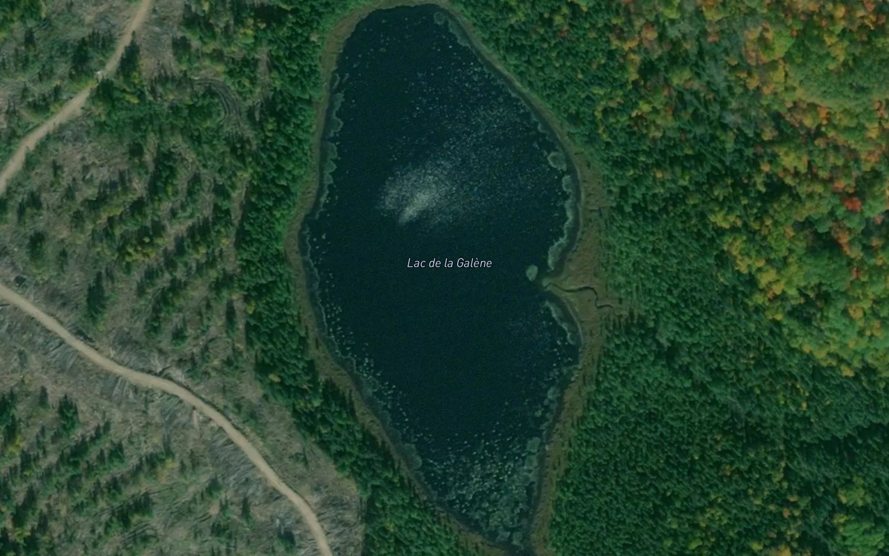 Satellite map of the Lac de la Galene