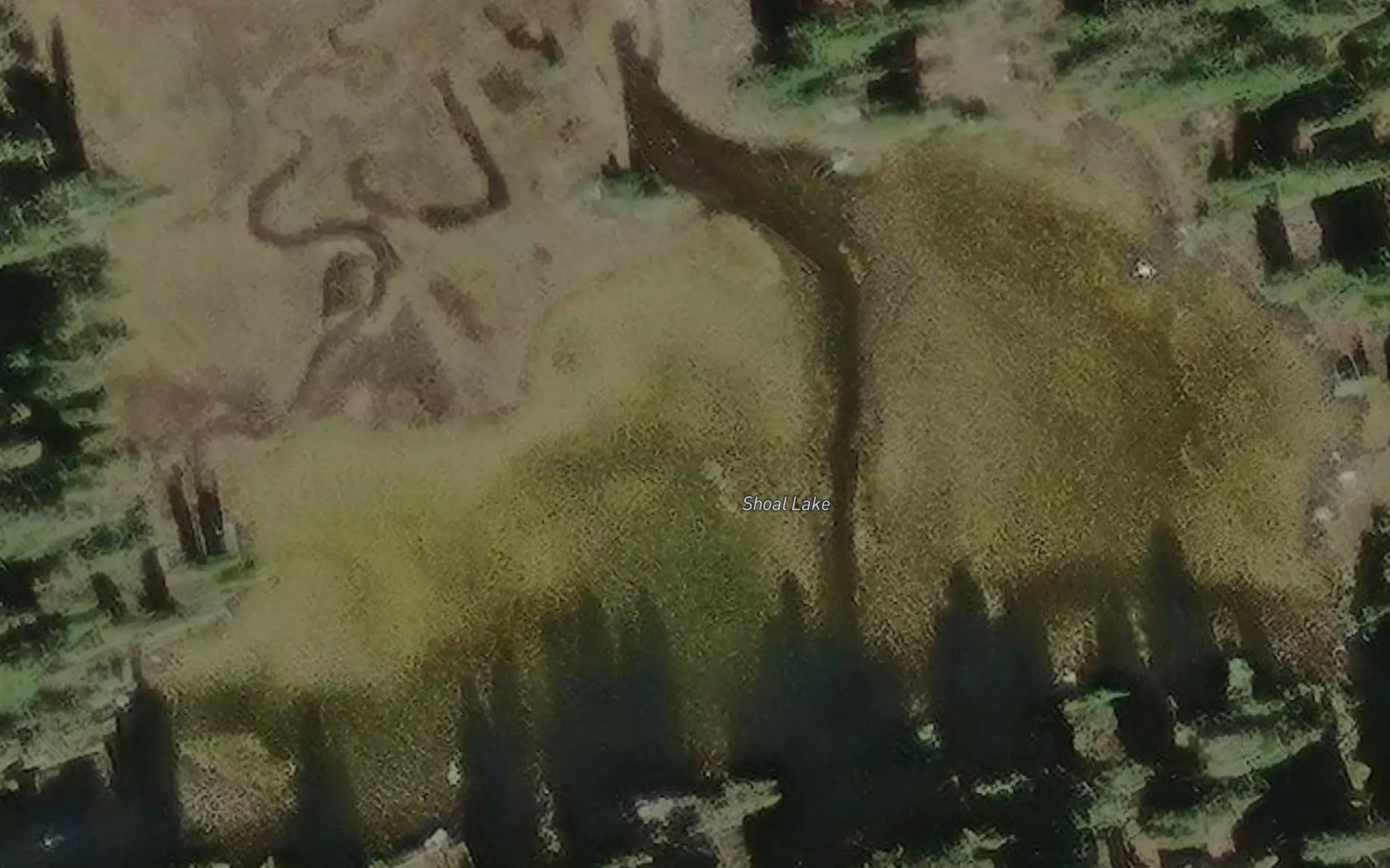Satellite map of the Shoal Lake