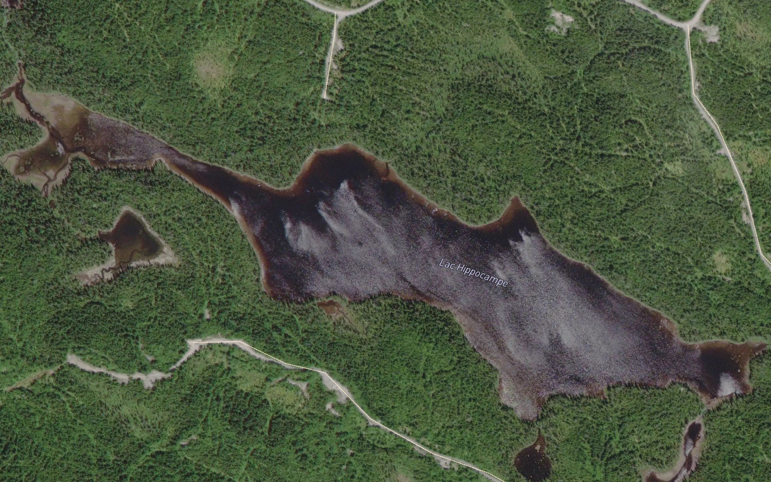 Lac Hippocampe