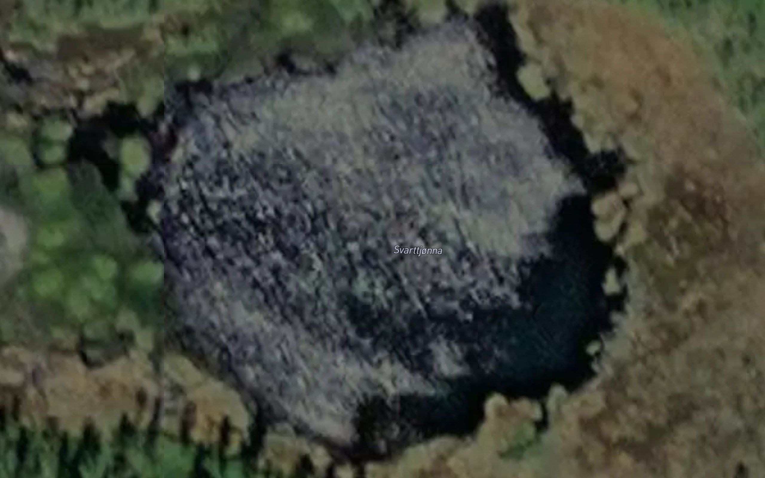 Svarttjonna