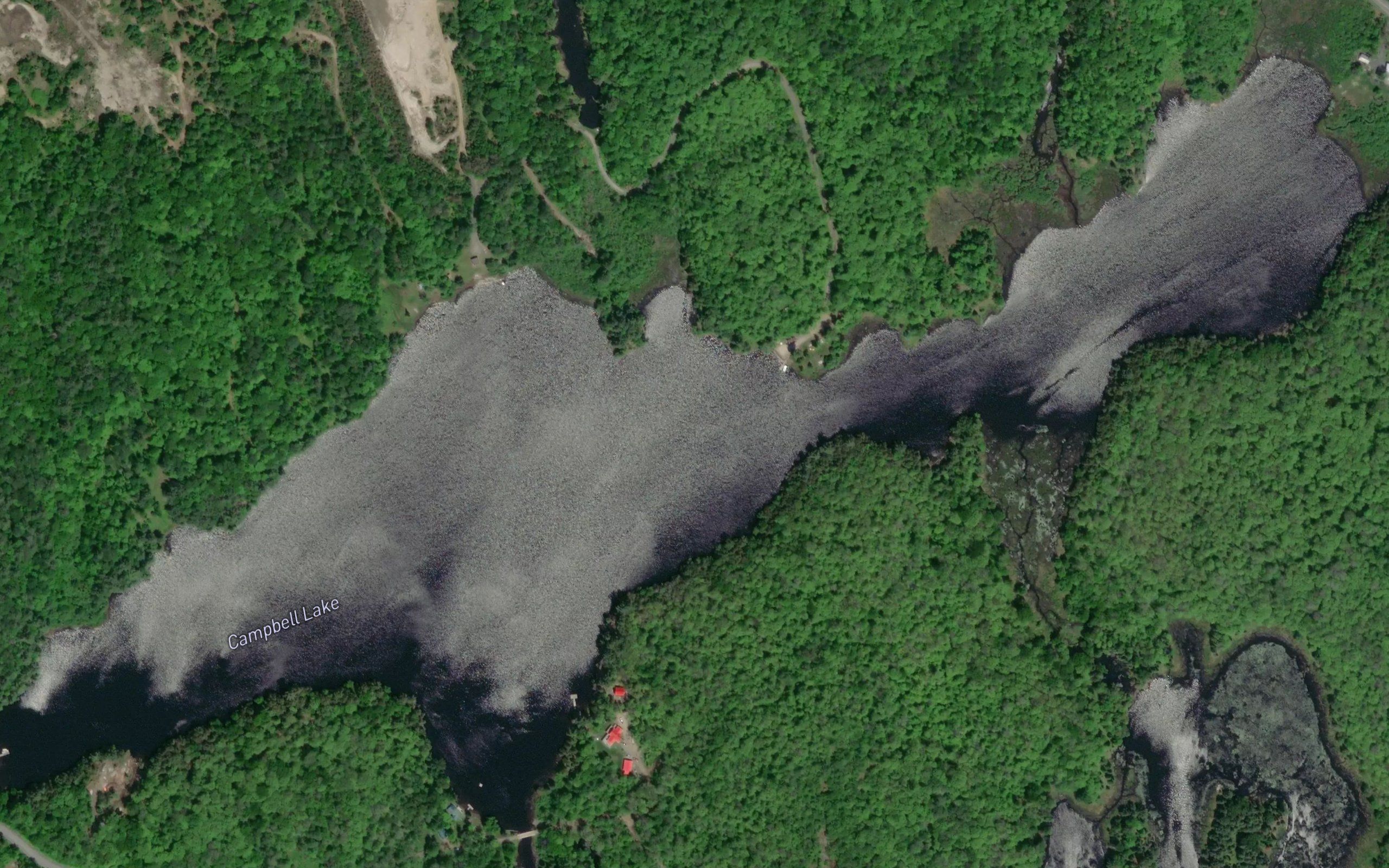 Campbell Lake