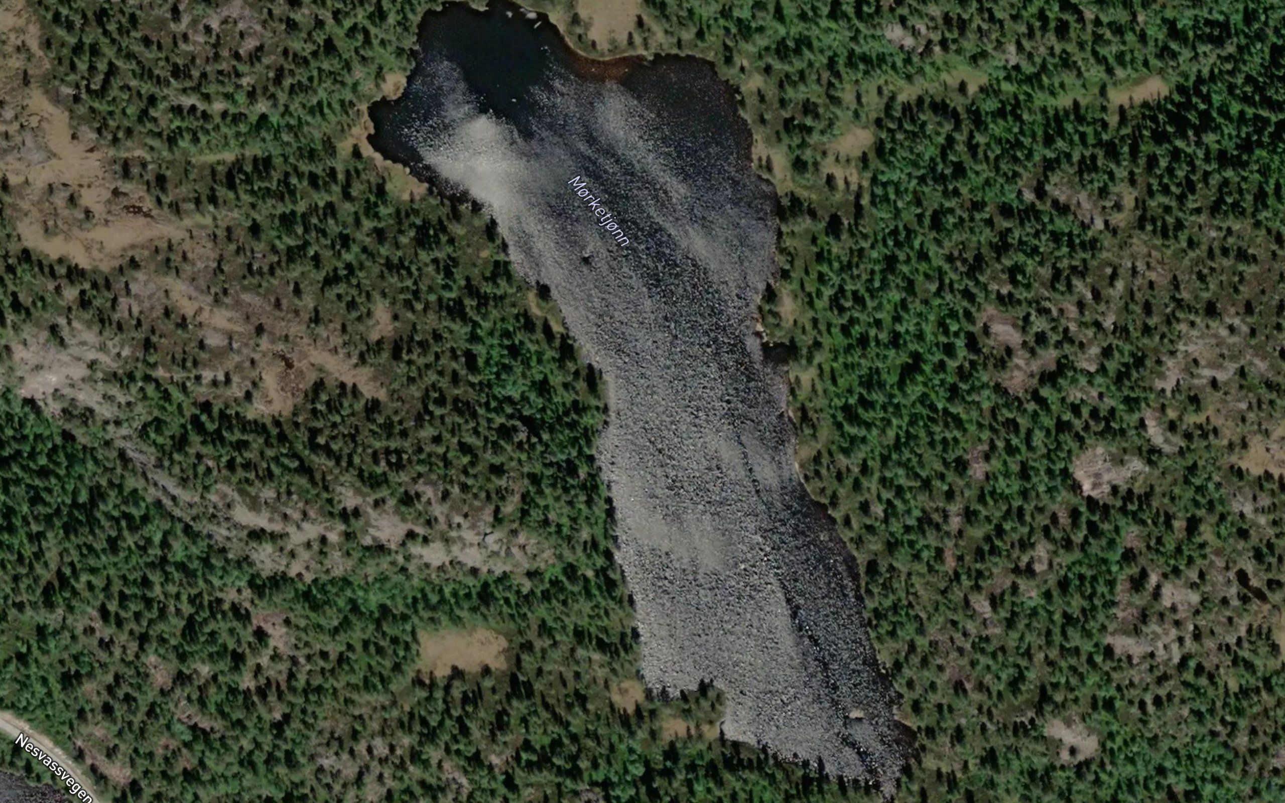 Morketjorn