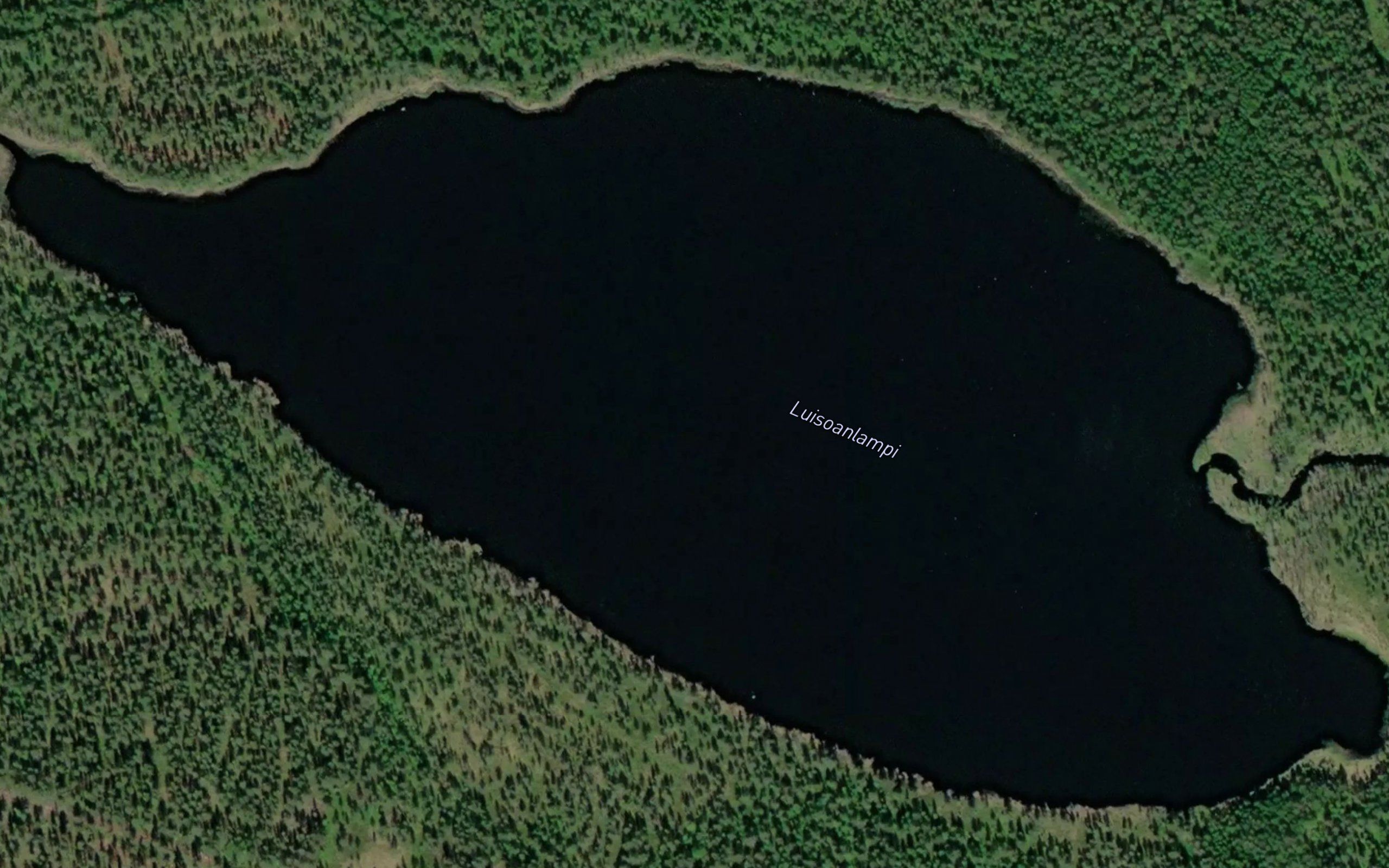 Luisoanlampi