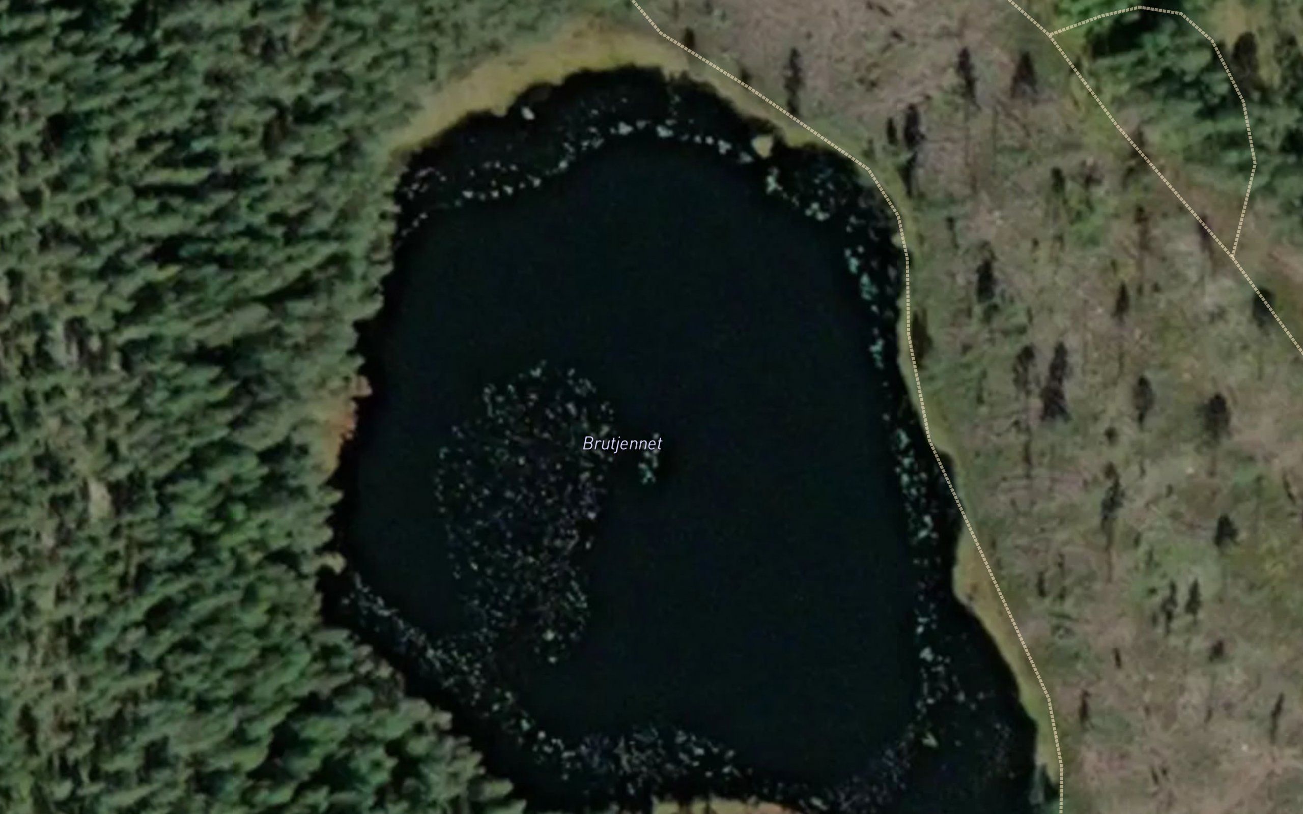 Brutjennet