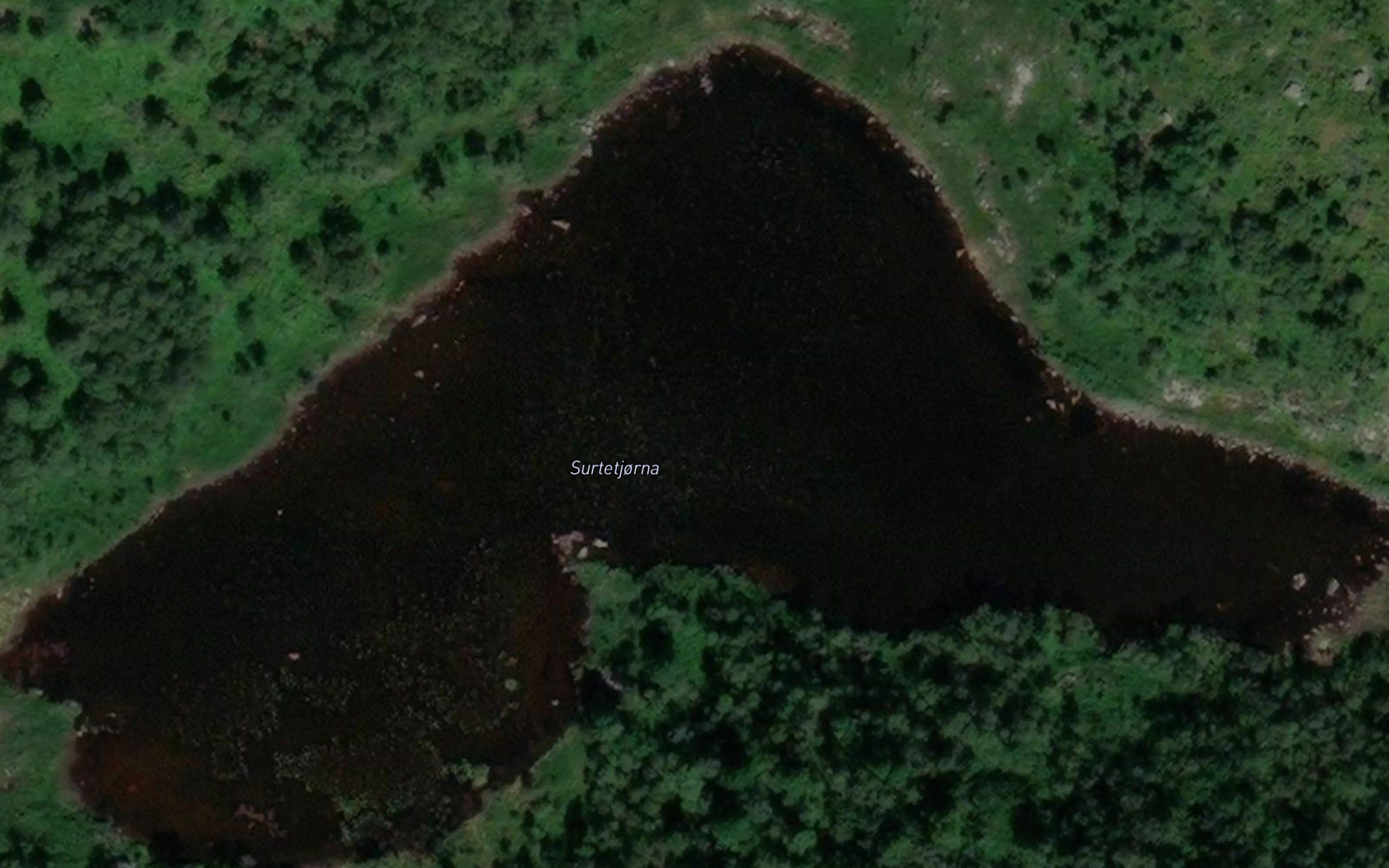 Surtetjorna