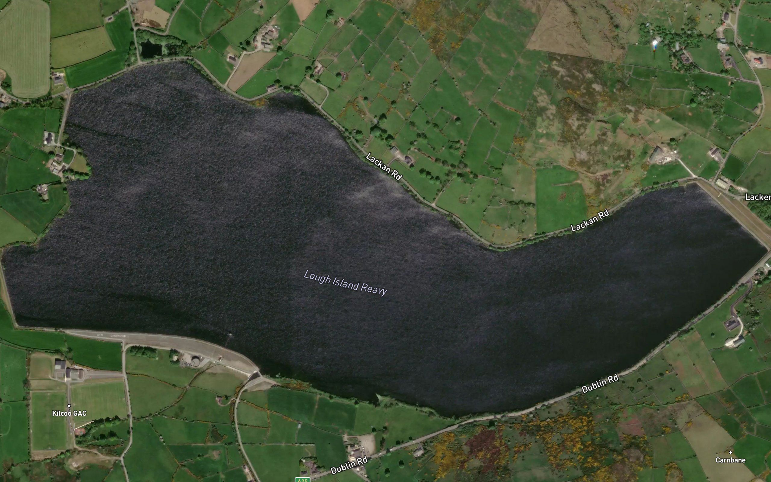Lough Island Reavy