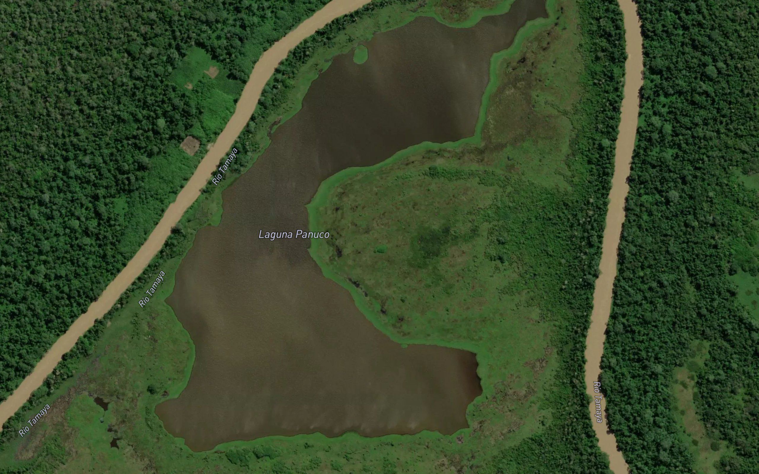 Laguna Panuco