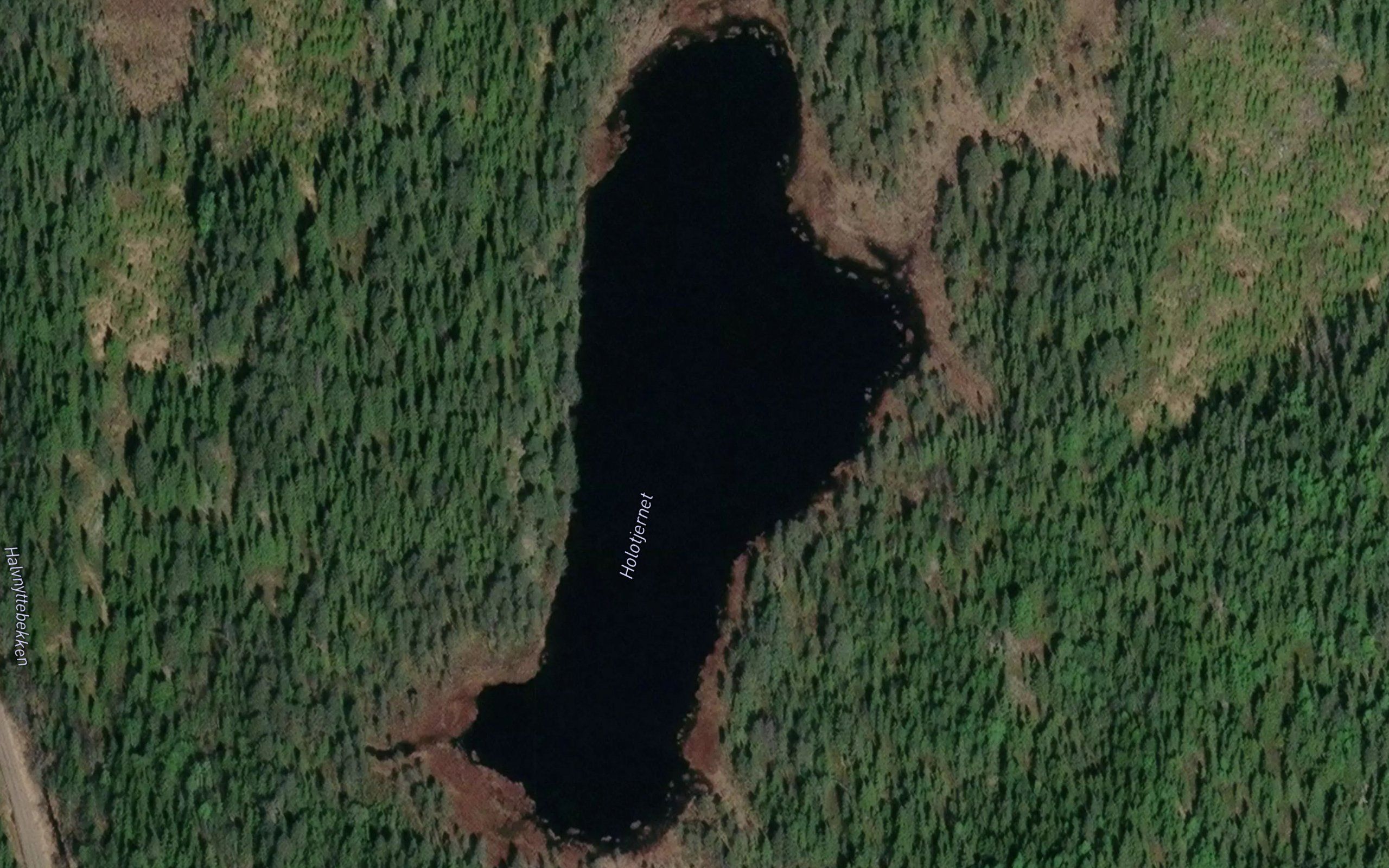 Holotjernet