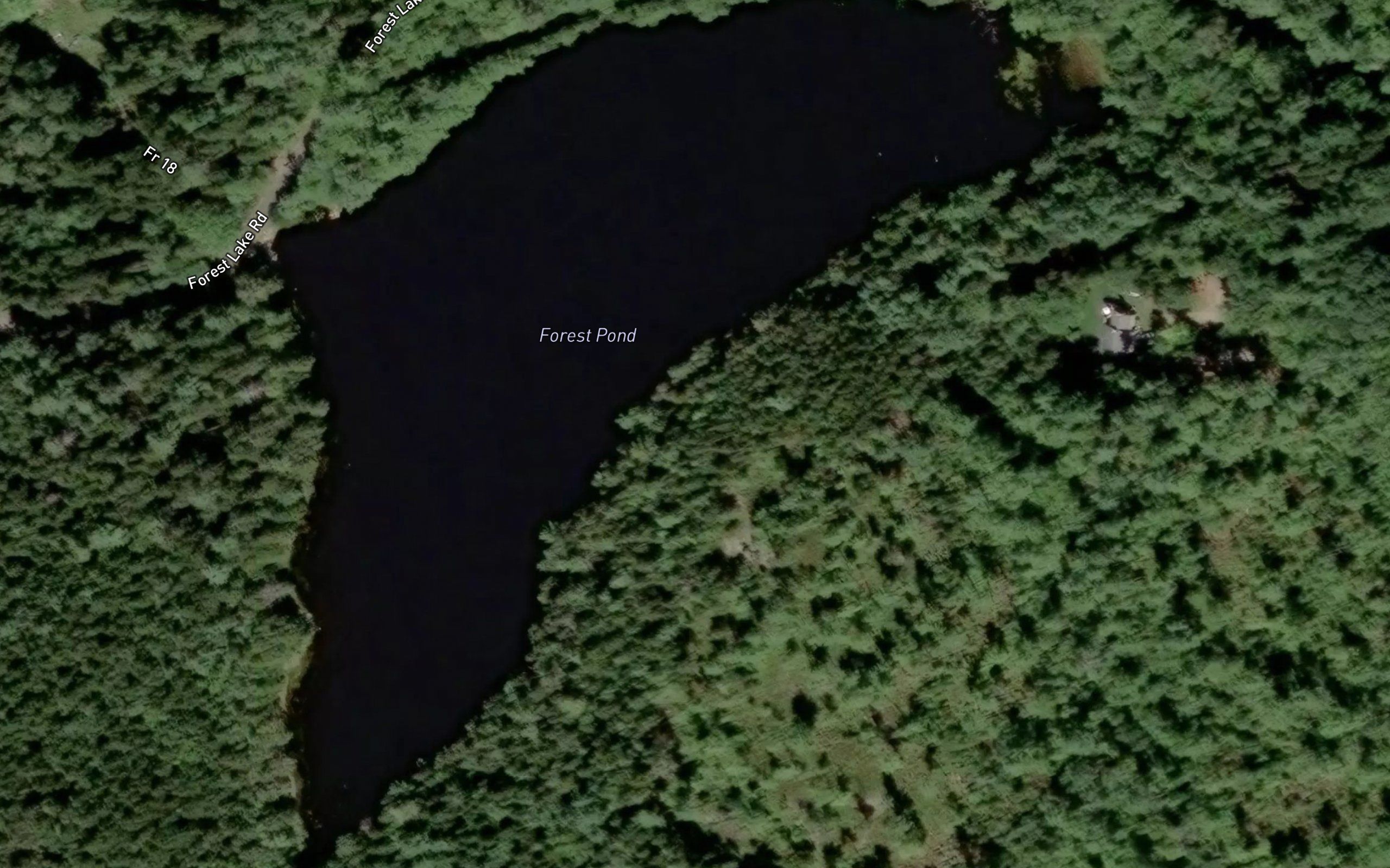 Forest Pond
