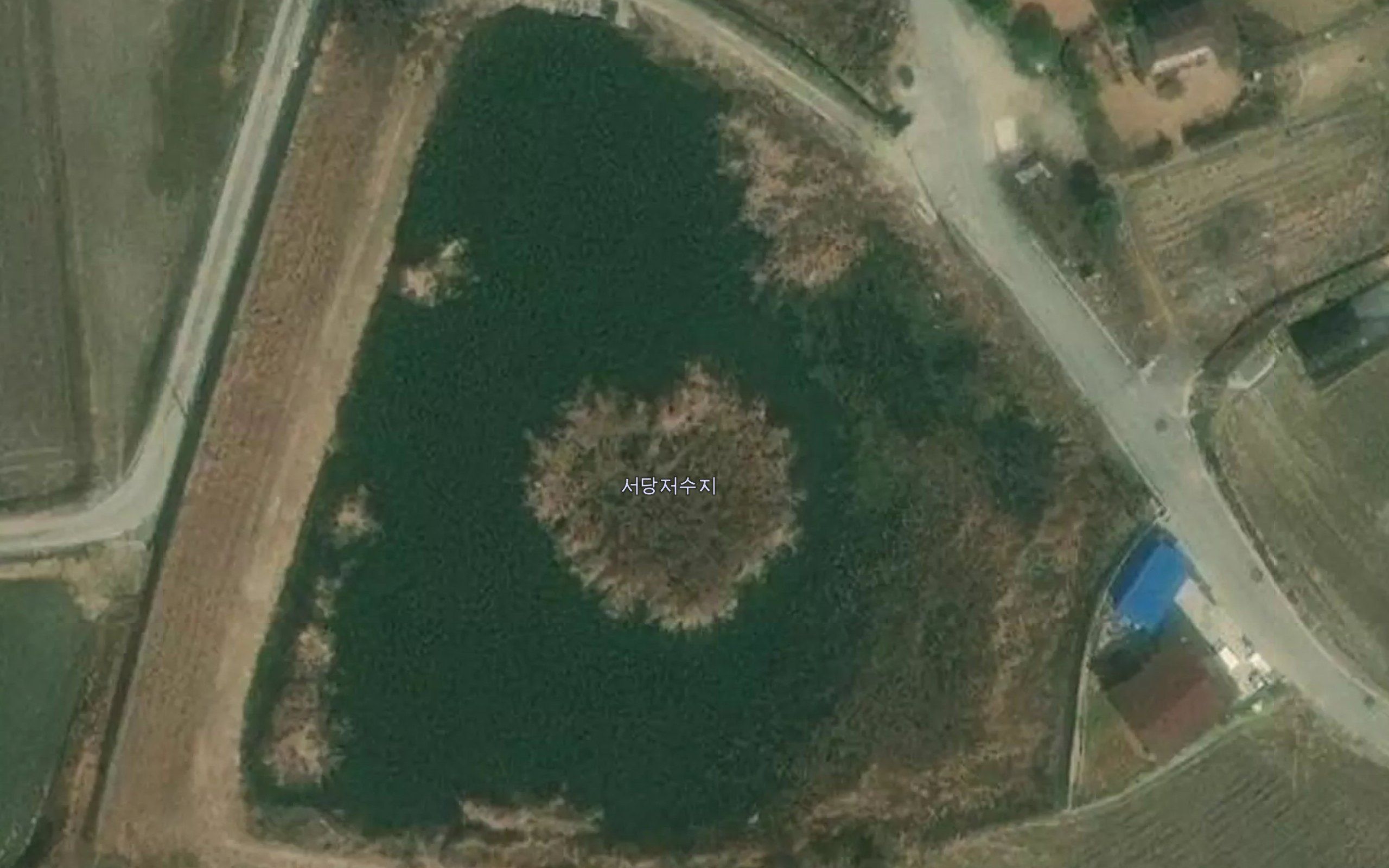 Wongeoji