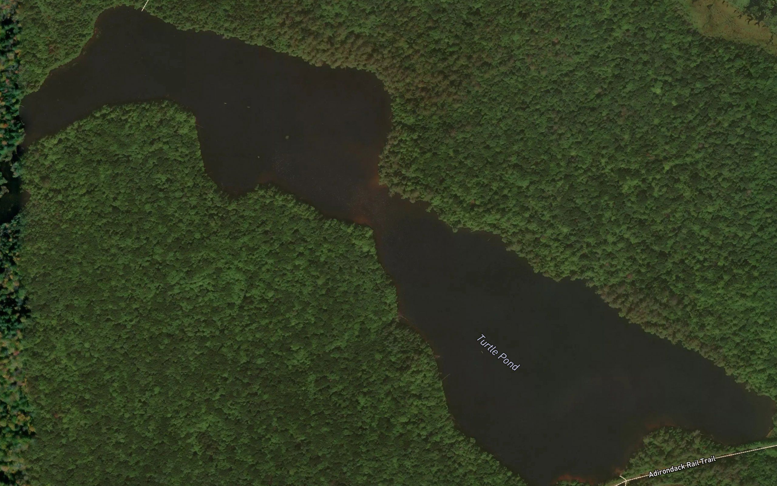 Turtle Pond