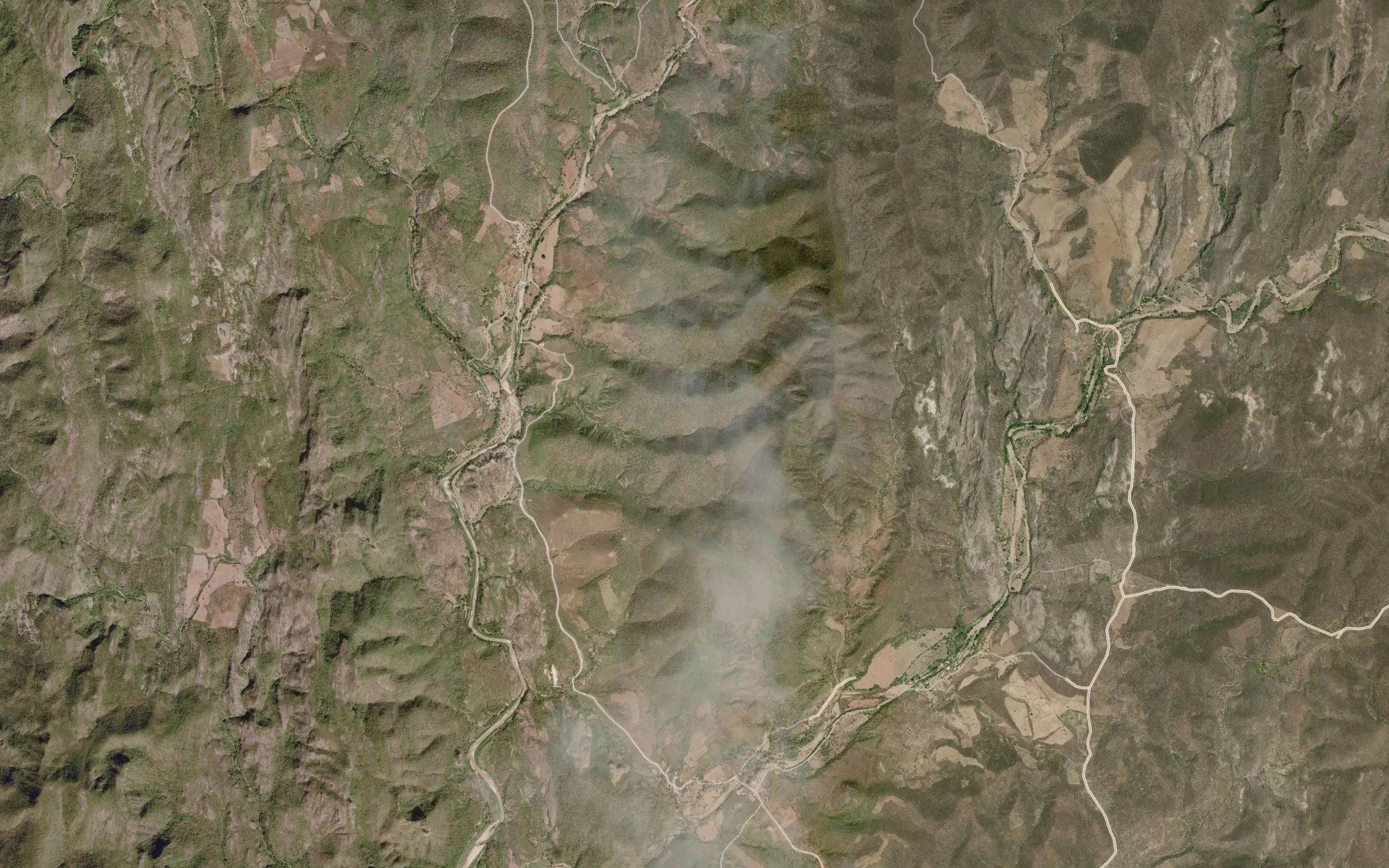 Barranca Palmerito