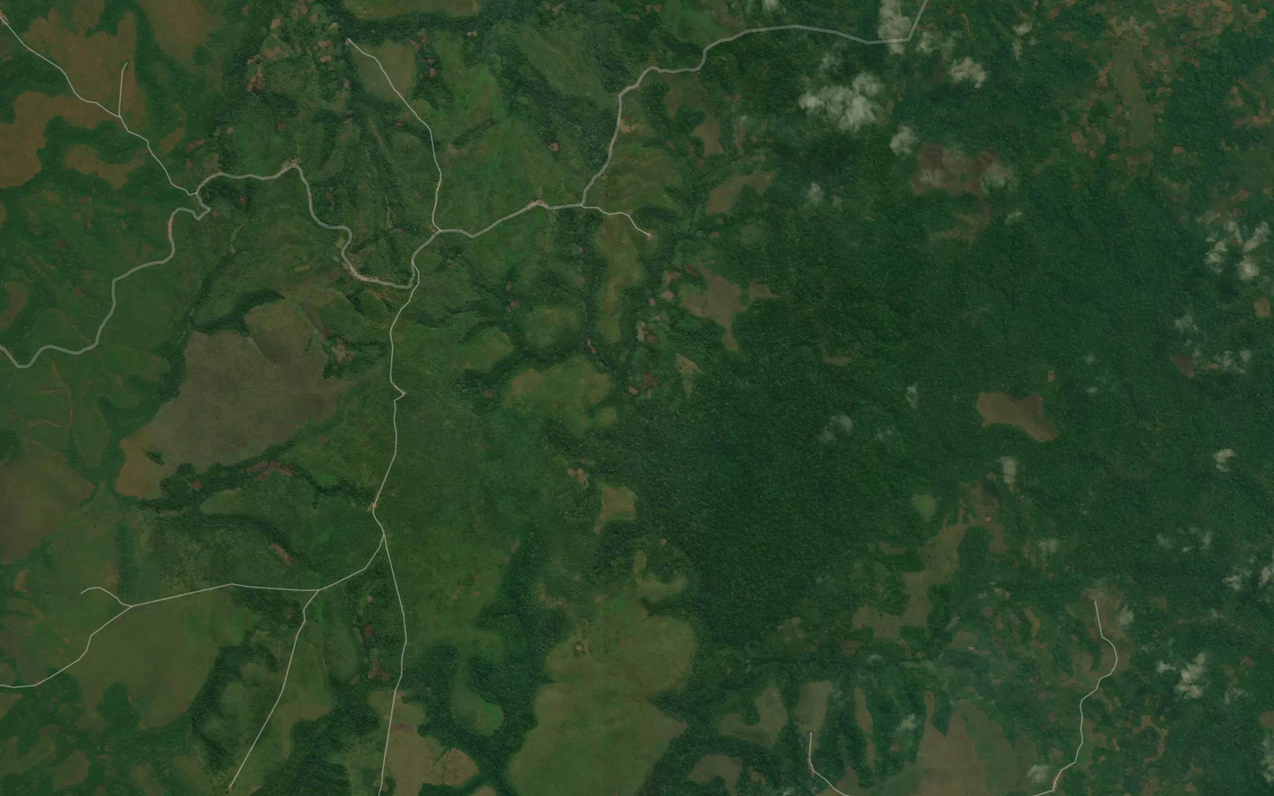 Kafuti