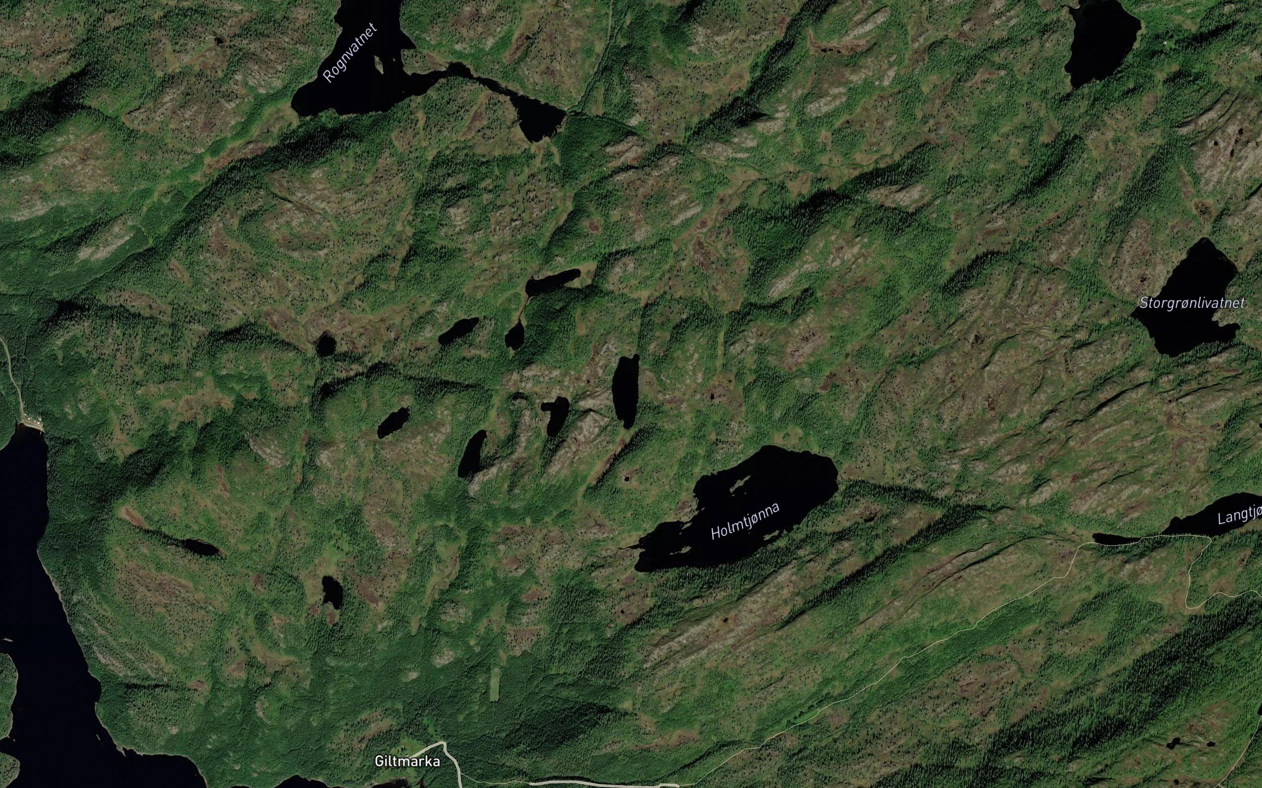 Kvamstjorna