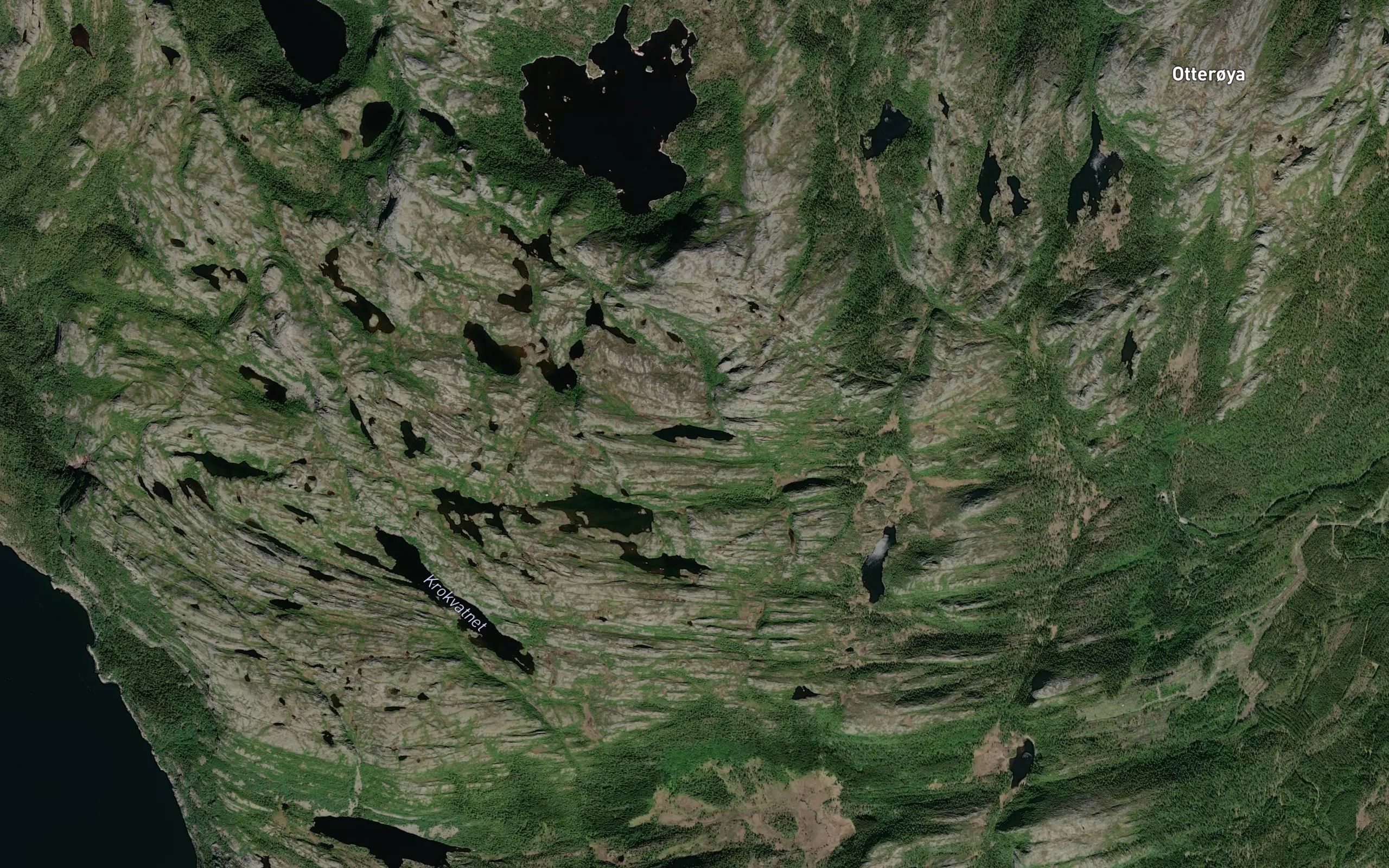Rognlivatnet