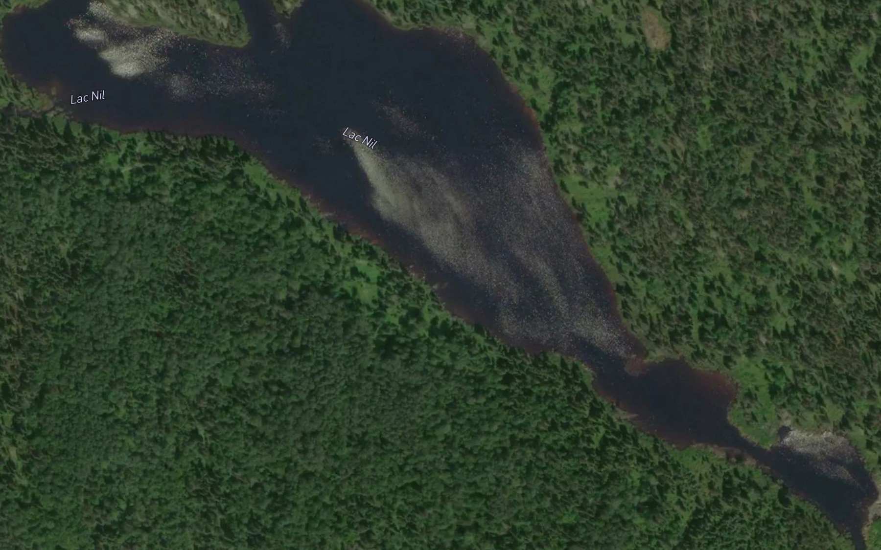 Satellite map of the Lac Nil