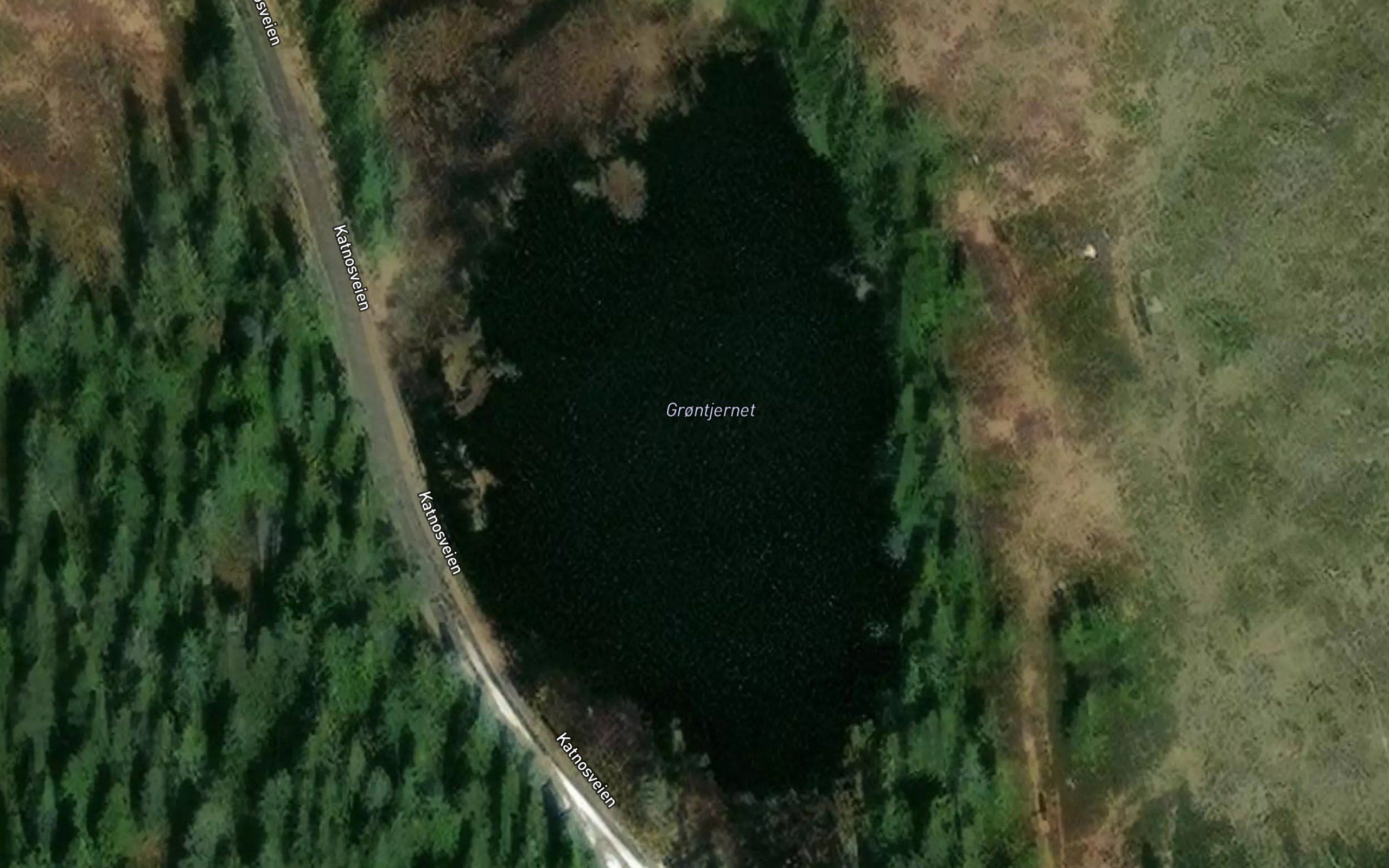 Grontjernet