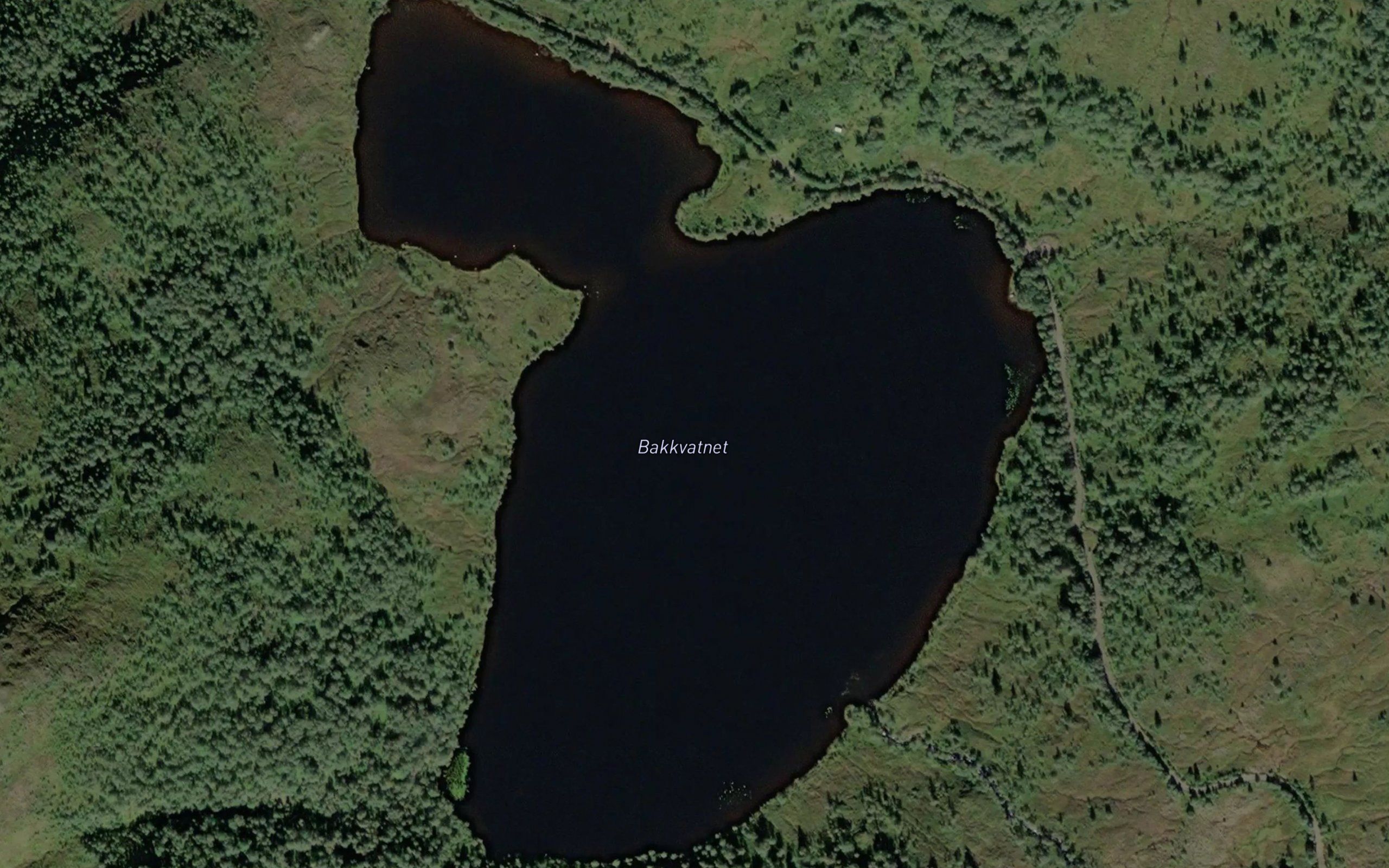 Bakkvatnet
