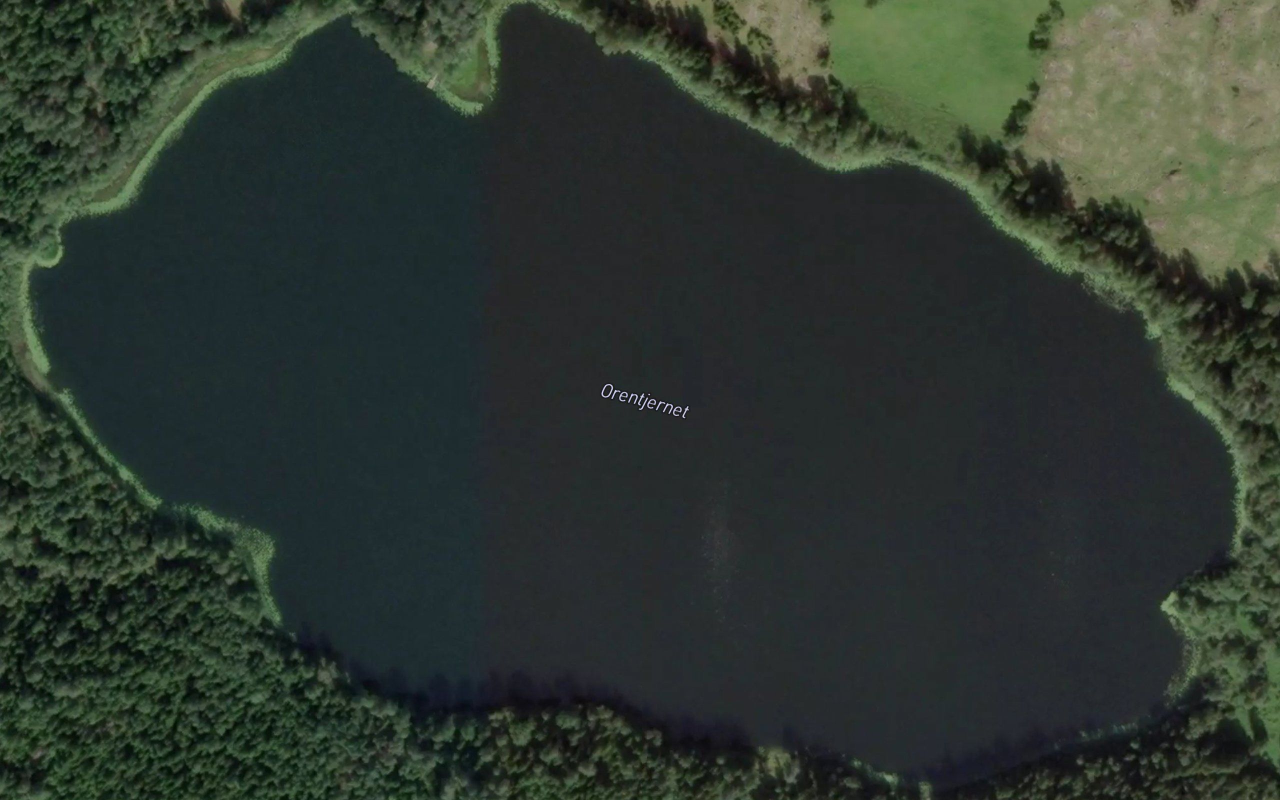 Orentjernet