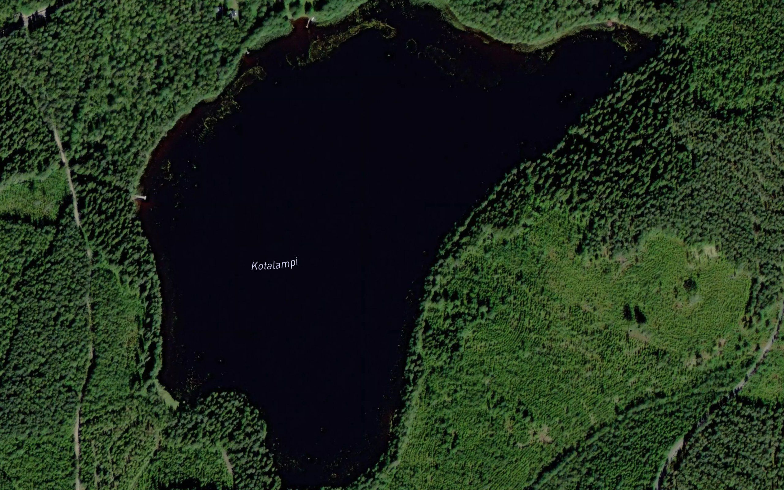 Kotalampi